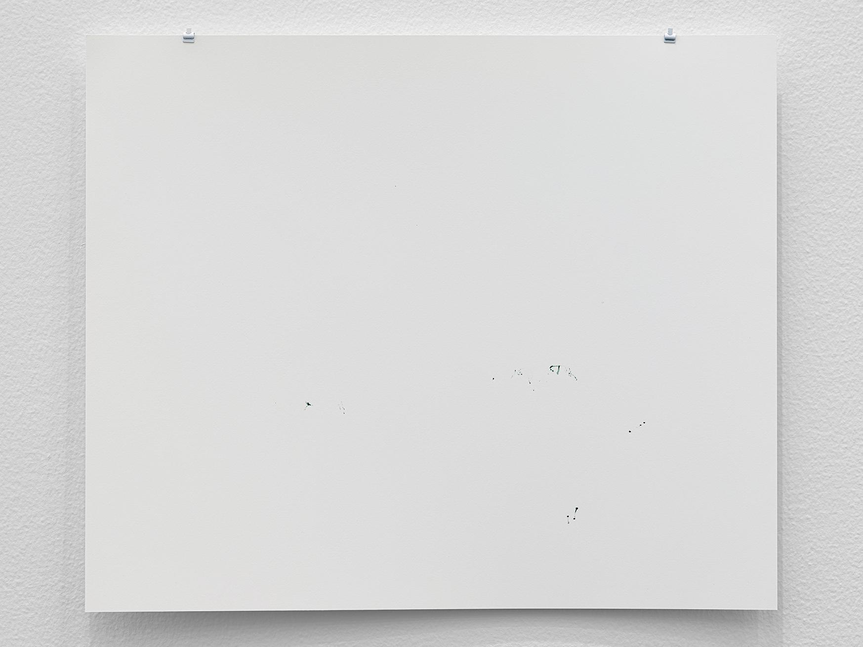 color beginning/breath (29 December 2024)