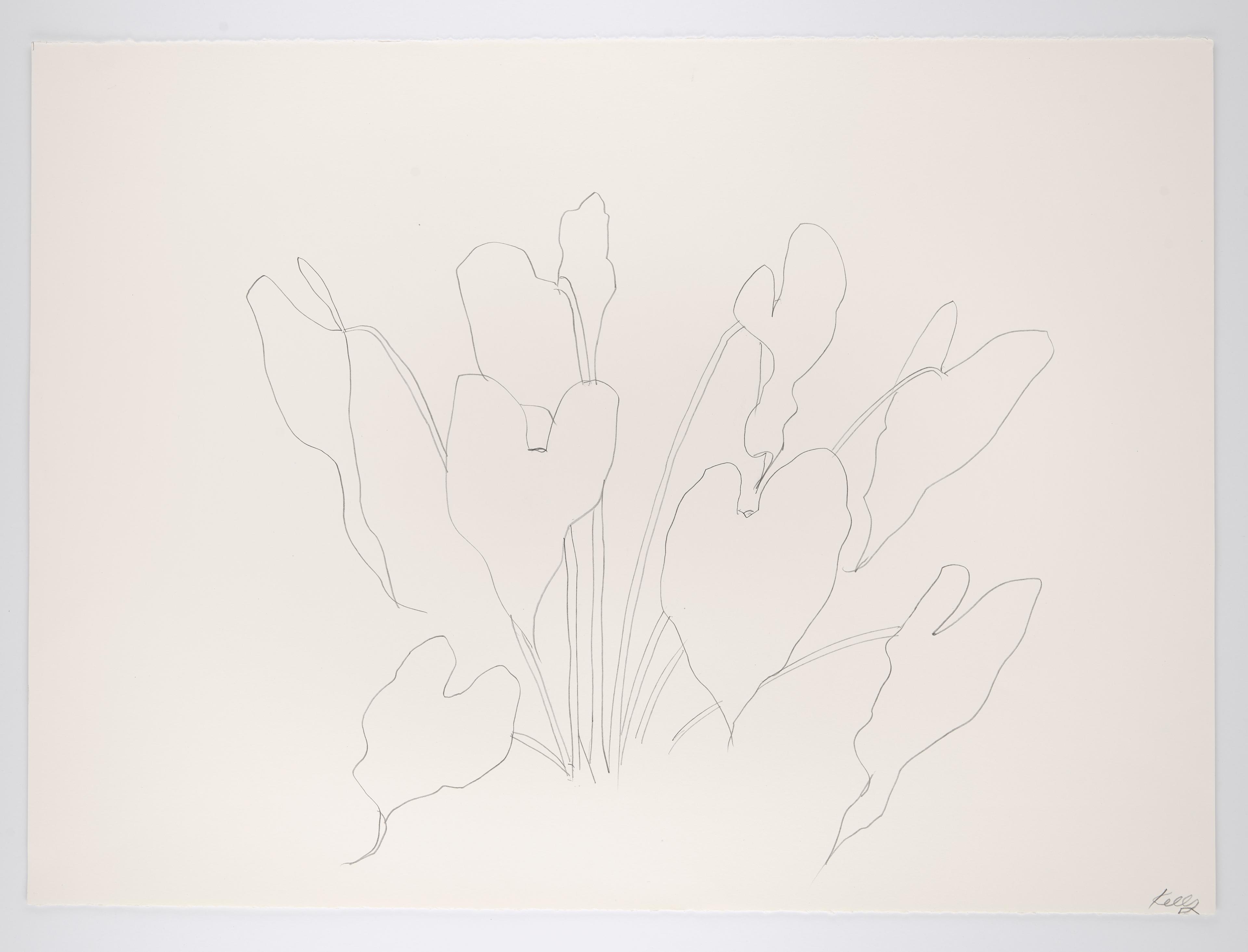 Leaves, St. Martin, 1984