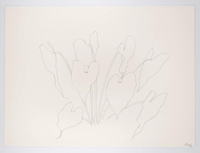 Leaves, St. Martin, 1984