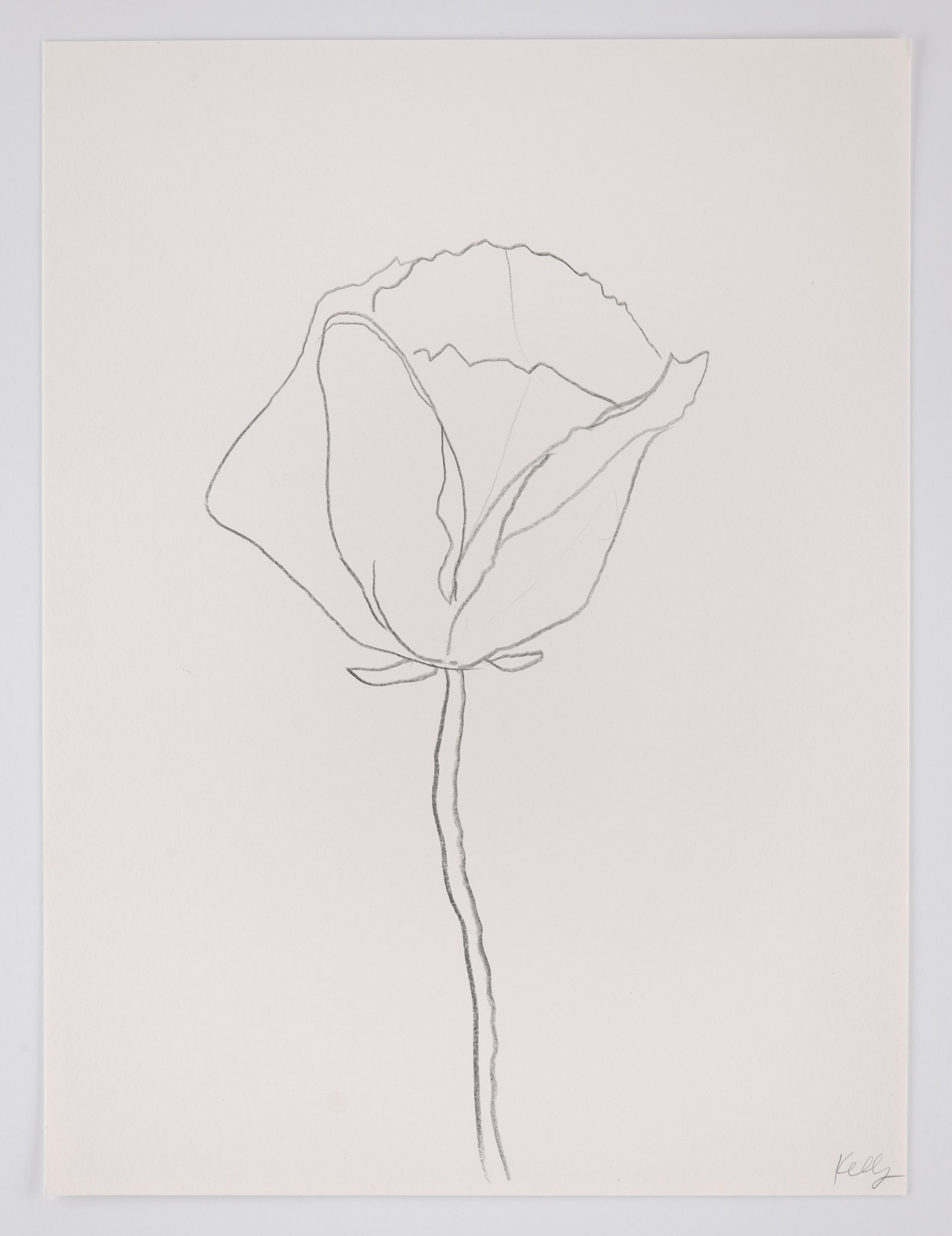 Poppy, 2010