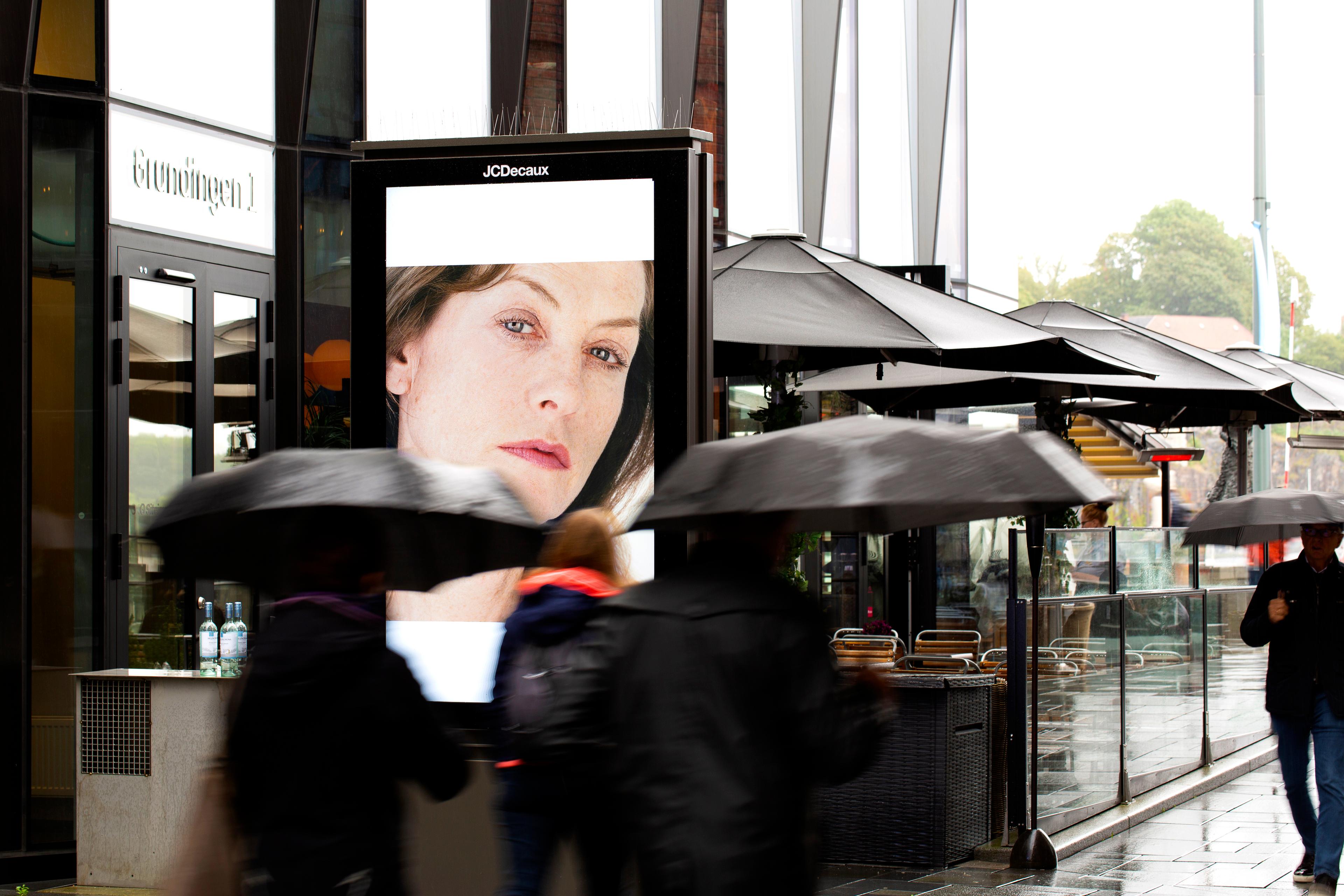 Portrait of an Image