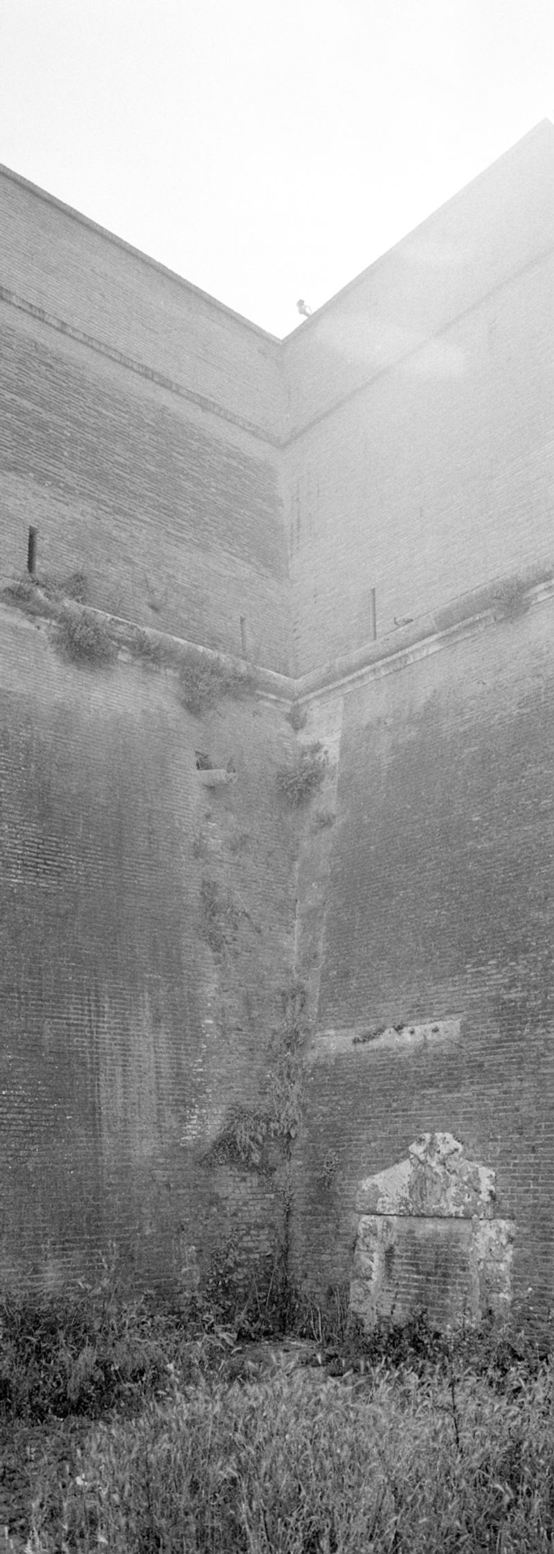 Untitled #3 (Walls), 2023