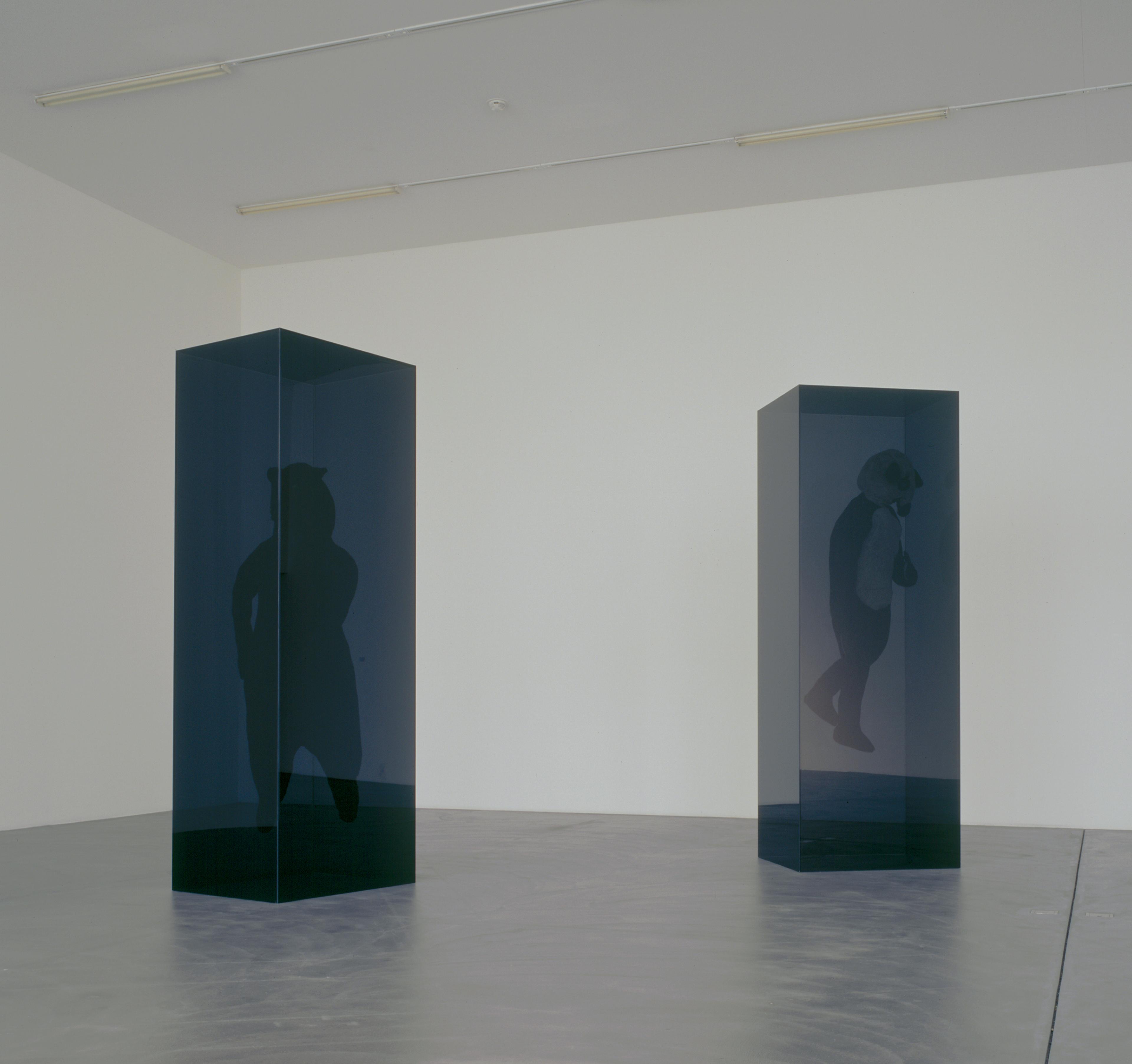 "Rat and Bear (Vitrine)" acquired by important institutional collection