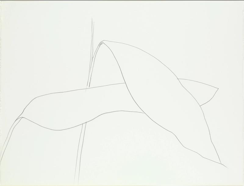 Leaves, 1992