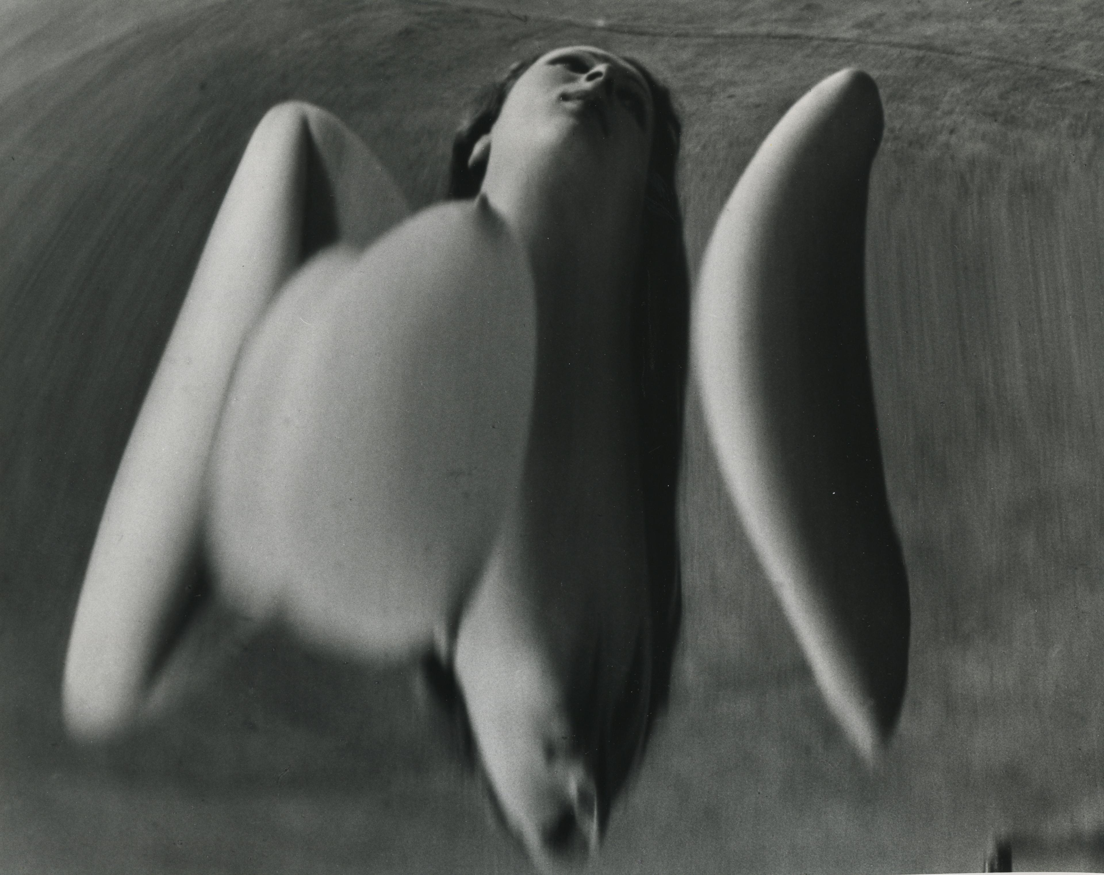 Twenty-seven "Distortions" acquired by important private collection