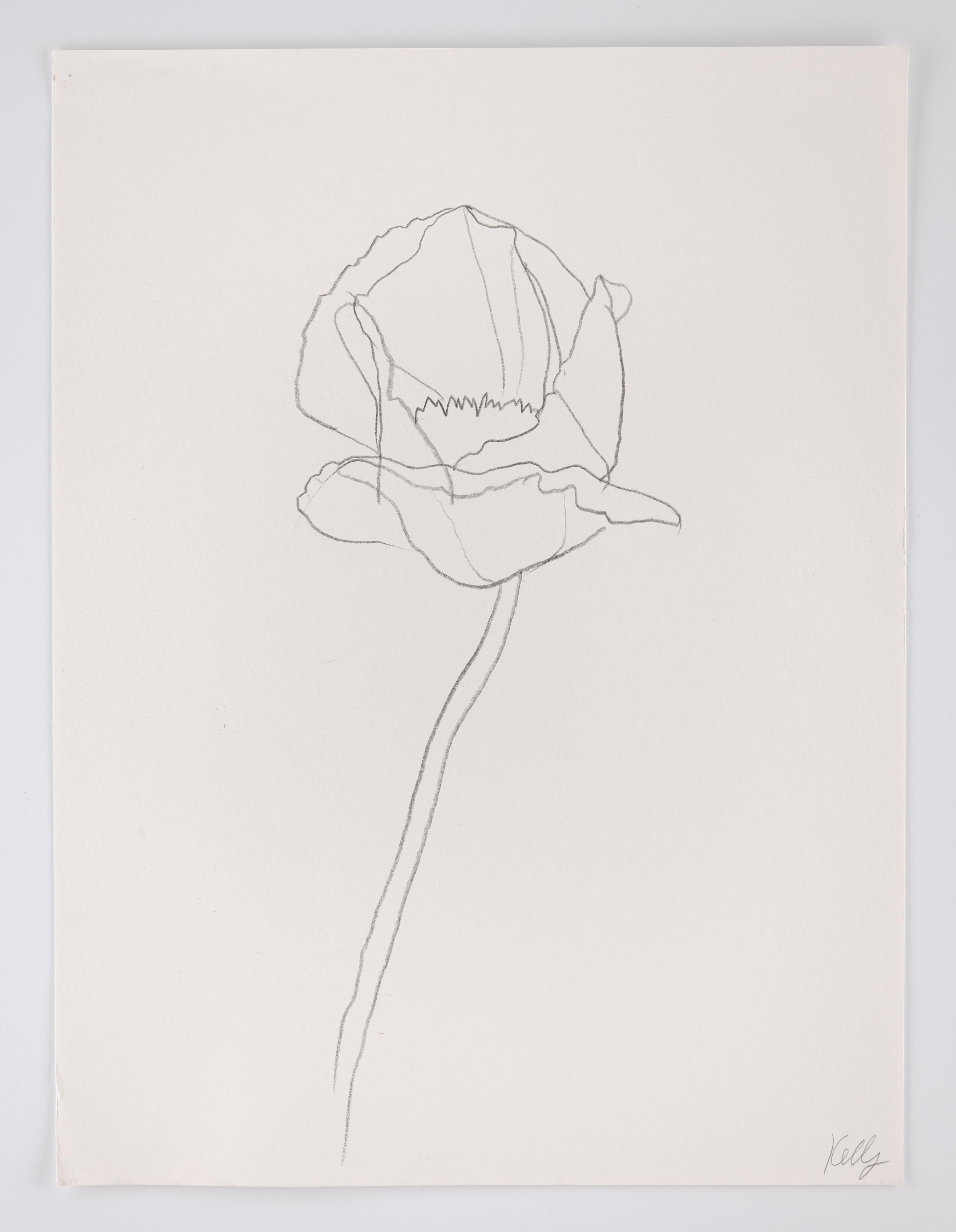 Poppy, 2010