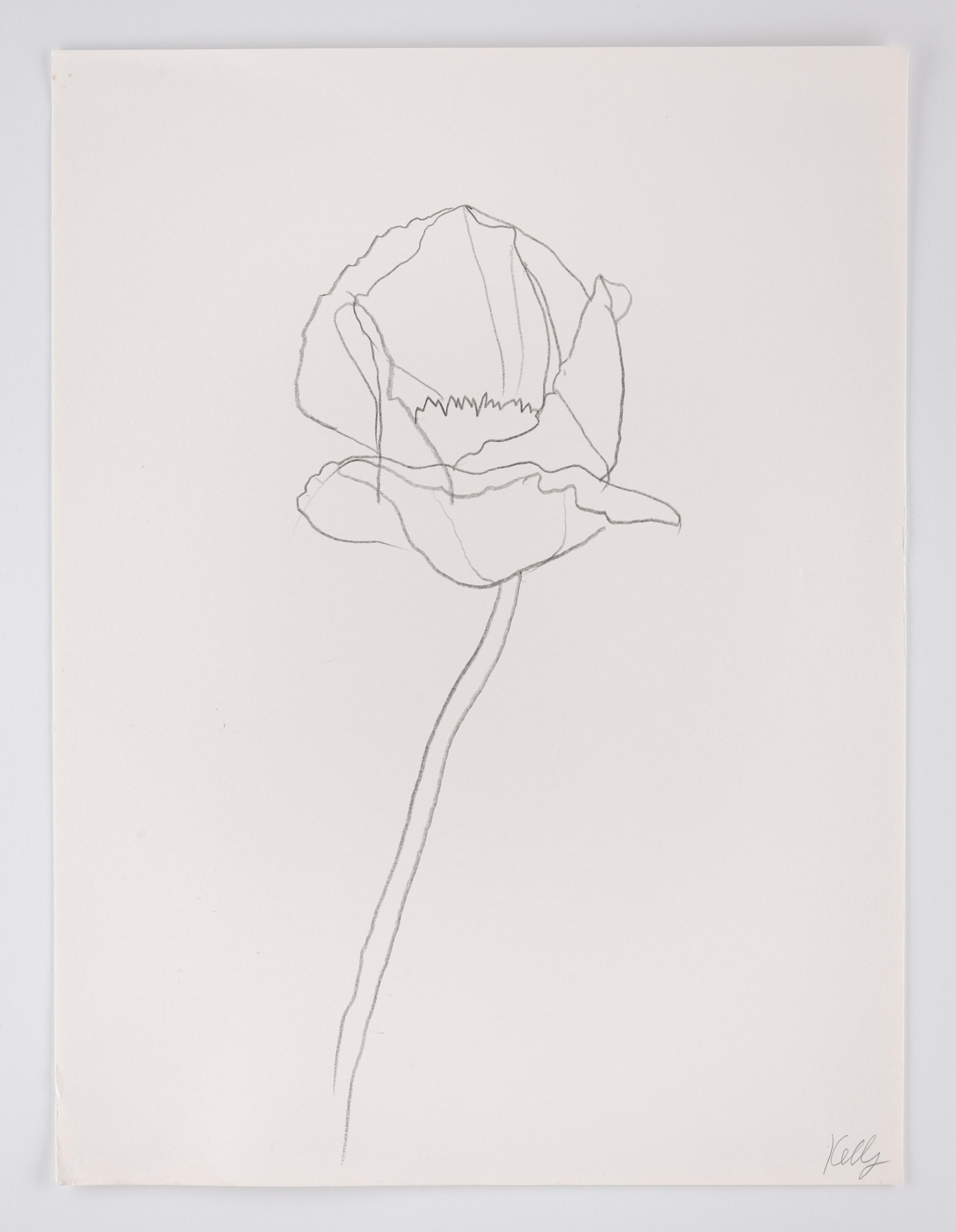 Poppy, 2010