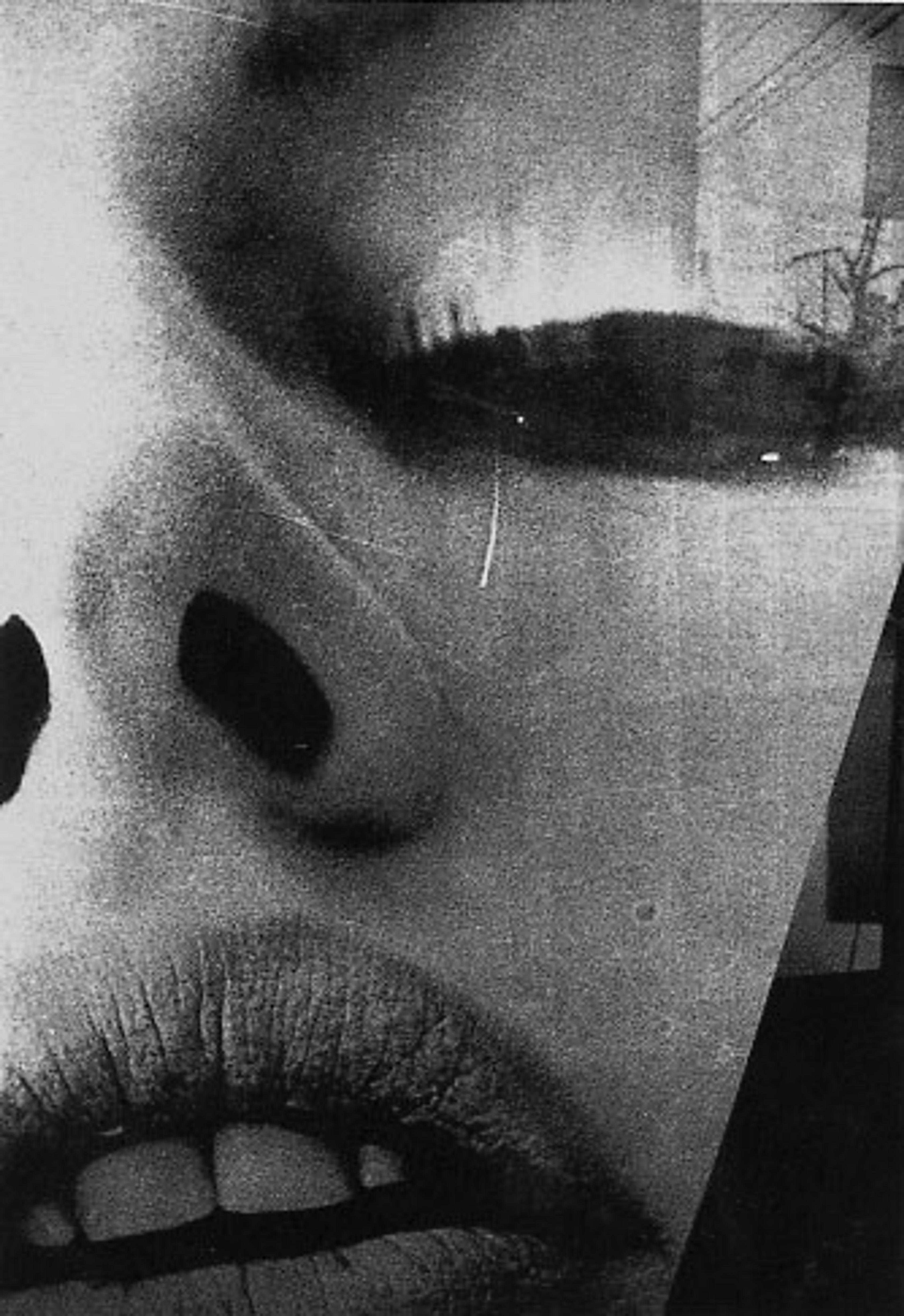 Eros or Something Other than Eros, 1969