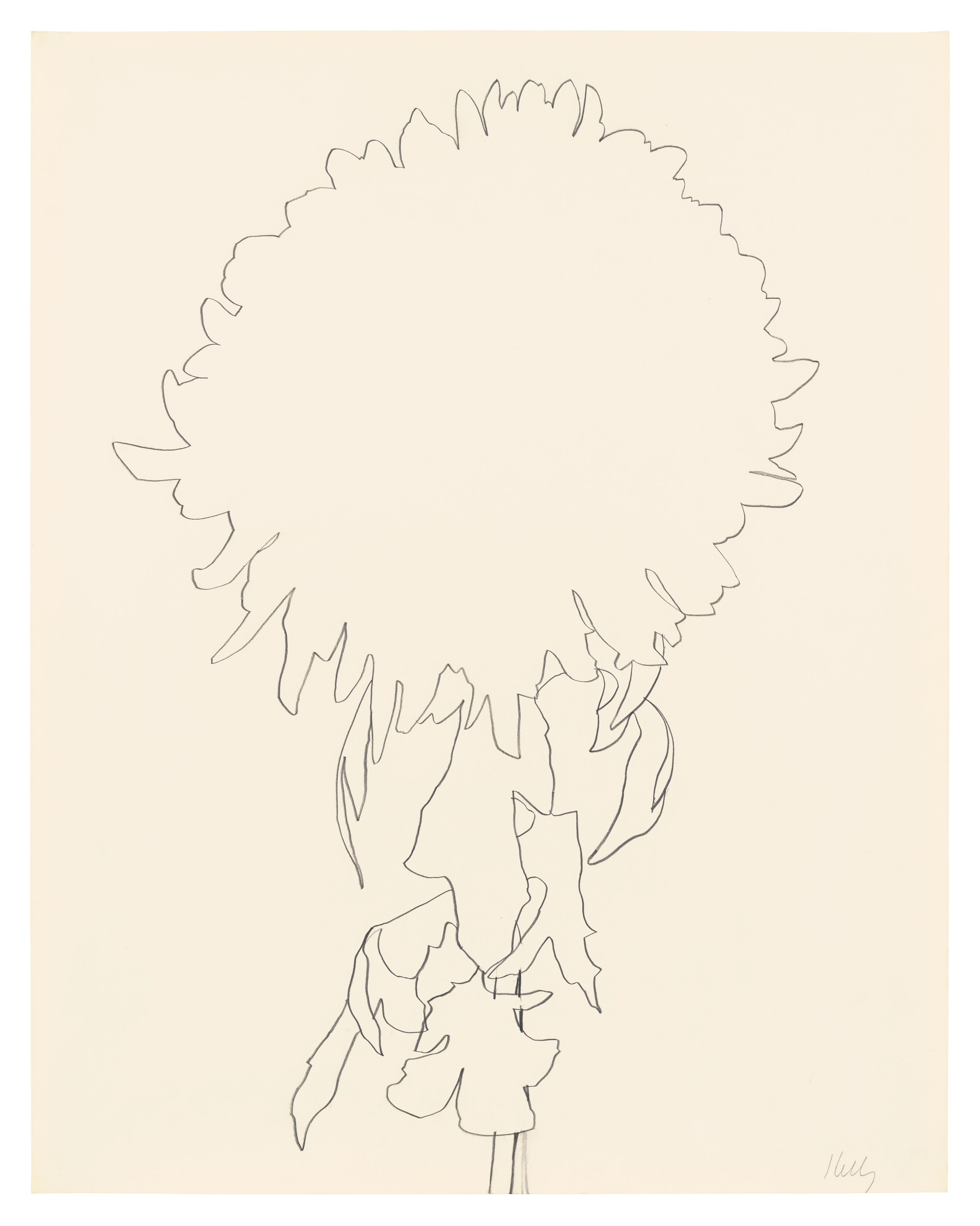 Chrysanthemum, 1965