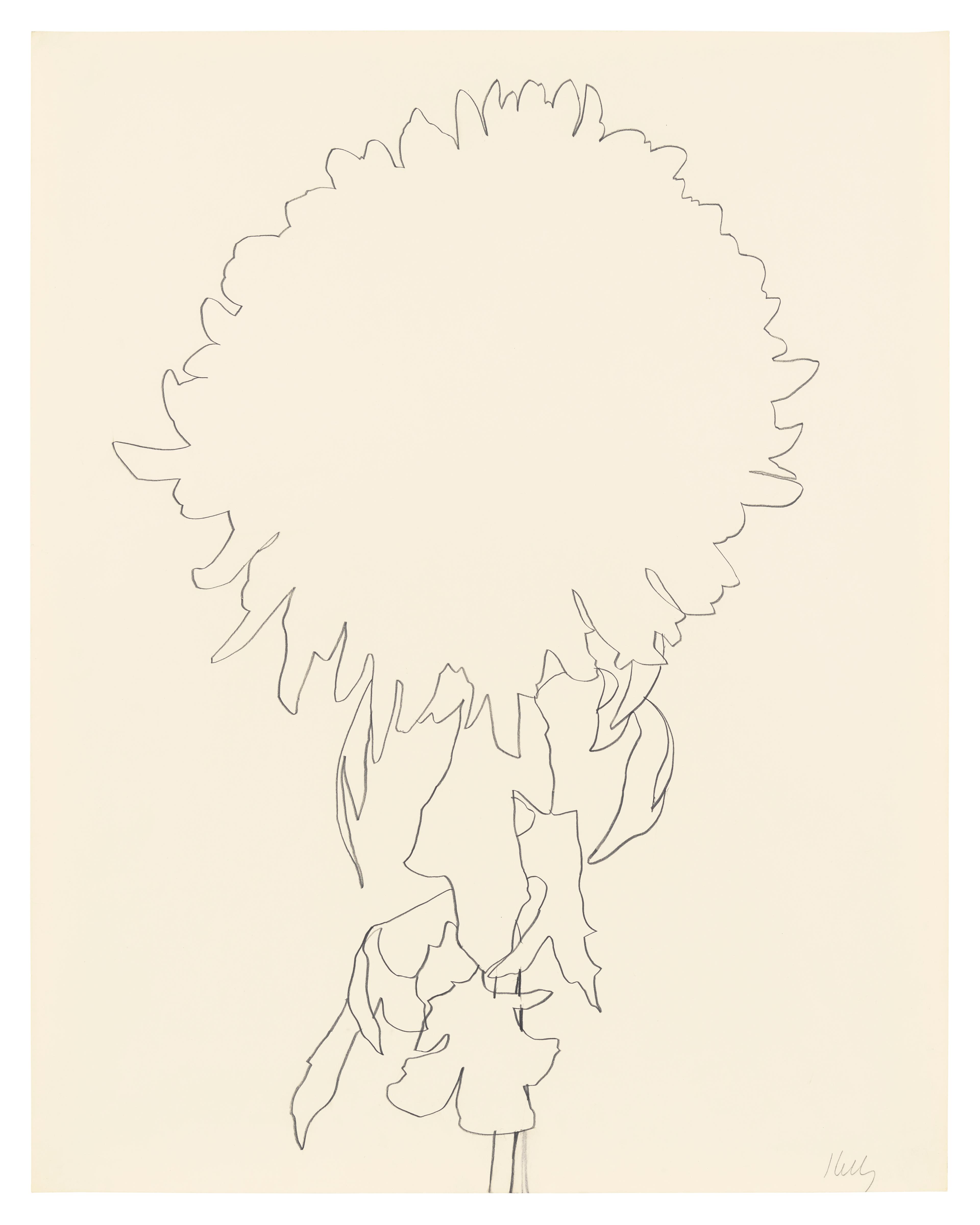 Chrysanthemum, 1965
