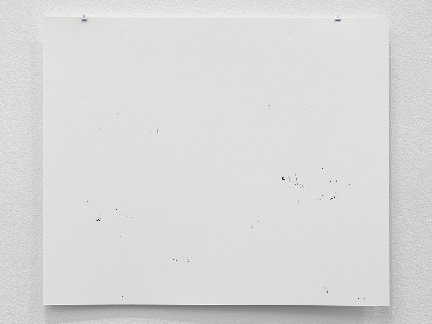 color beginning/breath (4 January 2025)