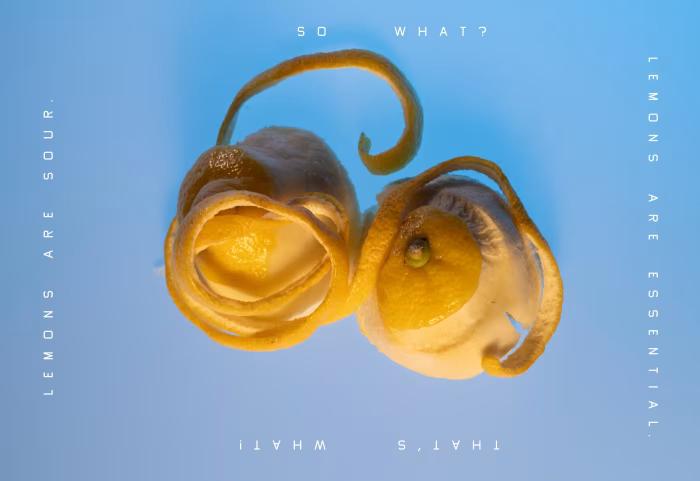 Squeeze Me: Lemon Recipes & Art