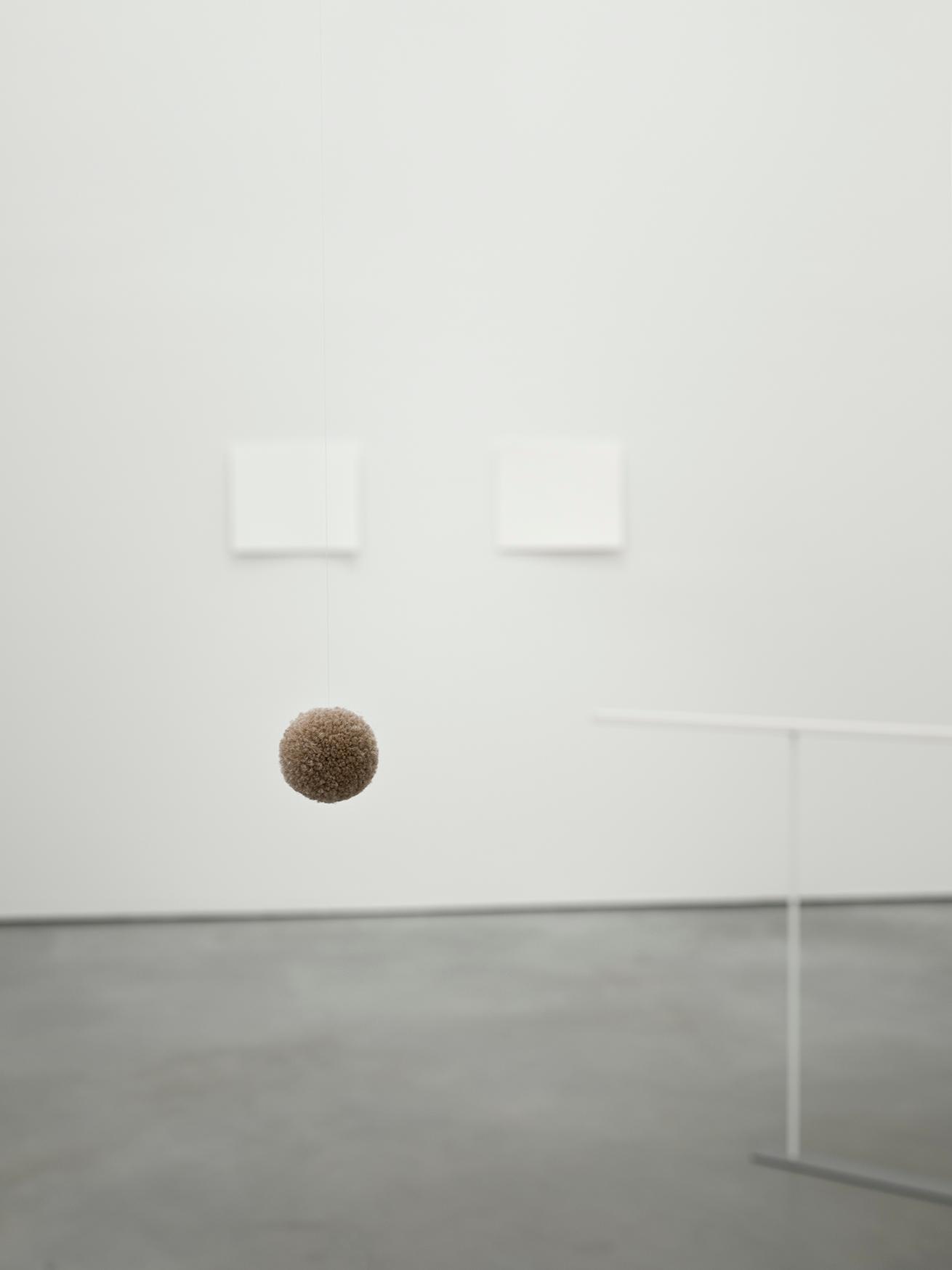 color beginning (2025)