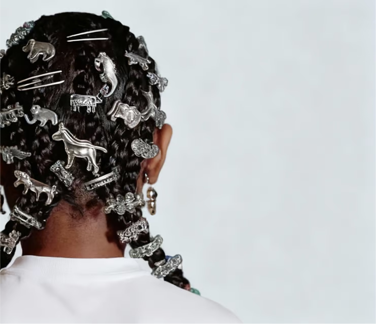 Braids