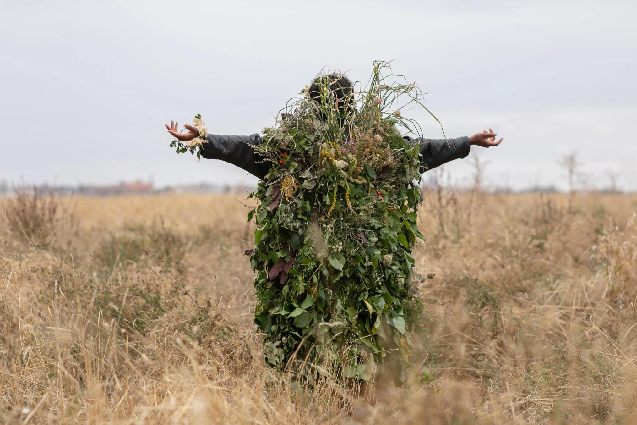 Plant Familiar, 2018 — photograph by Kristy Milliken