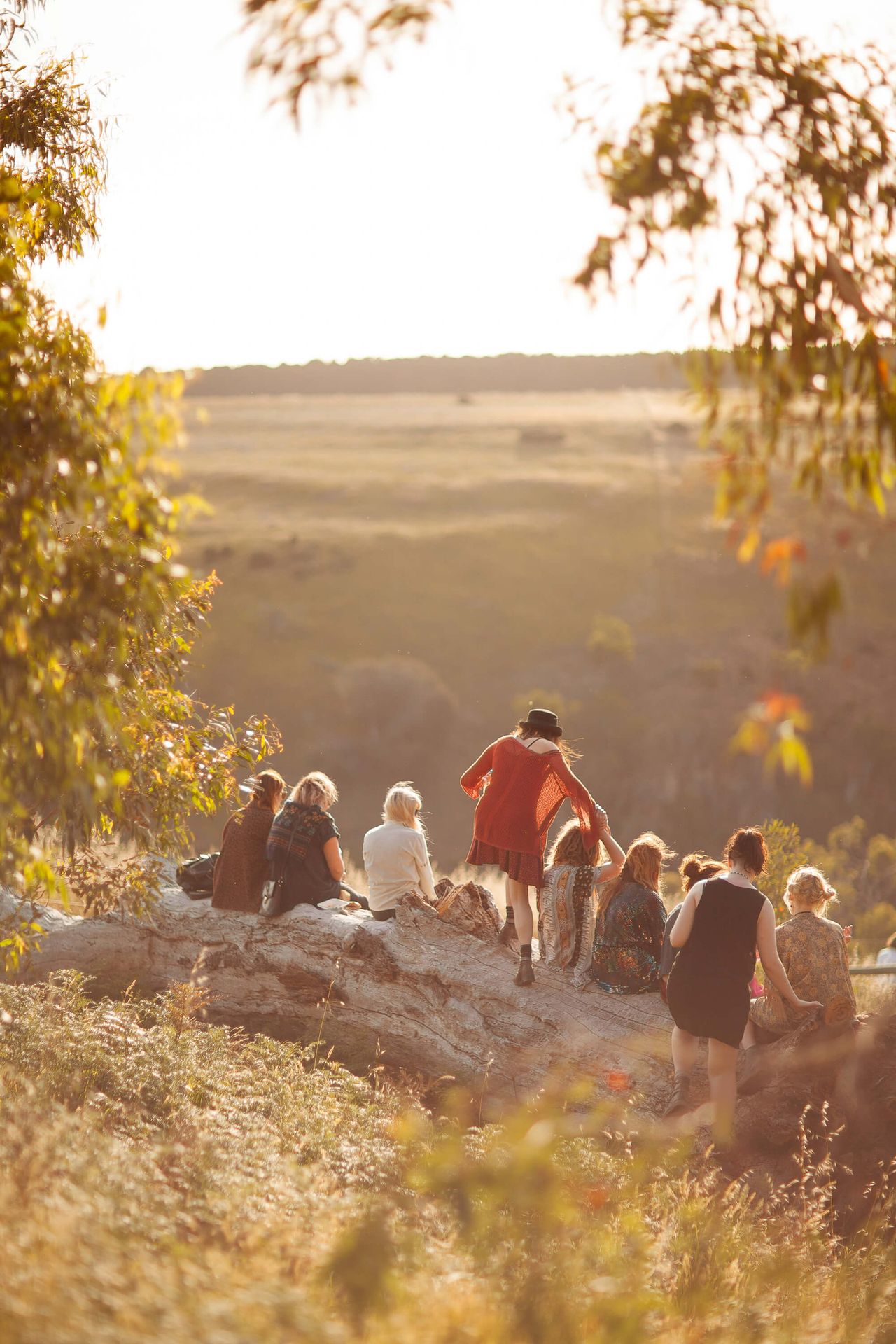 Meredith Music Festival Golden Hour