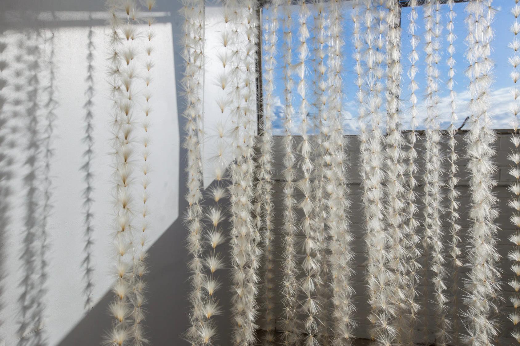 Thistle Do, 2015 — photograph by Kristy Milliken