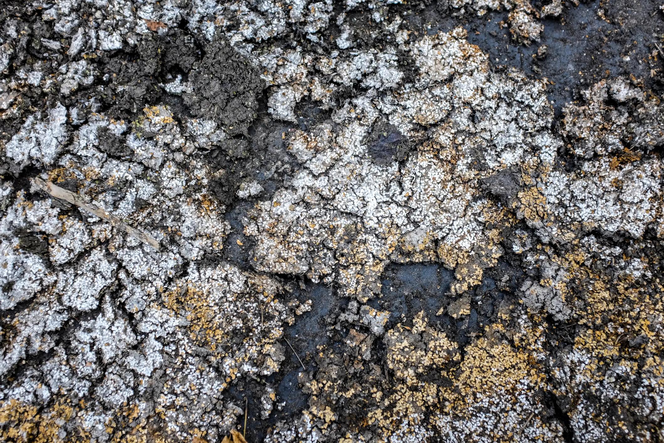 Berlin textures, 2018