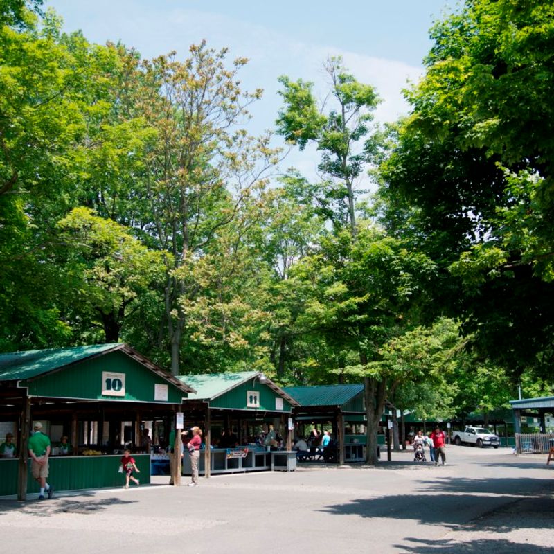 Picnic Pavilions at DelGrosso's Park