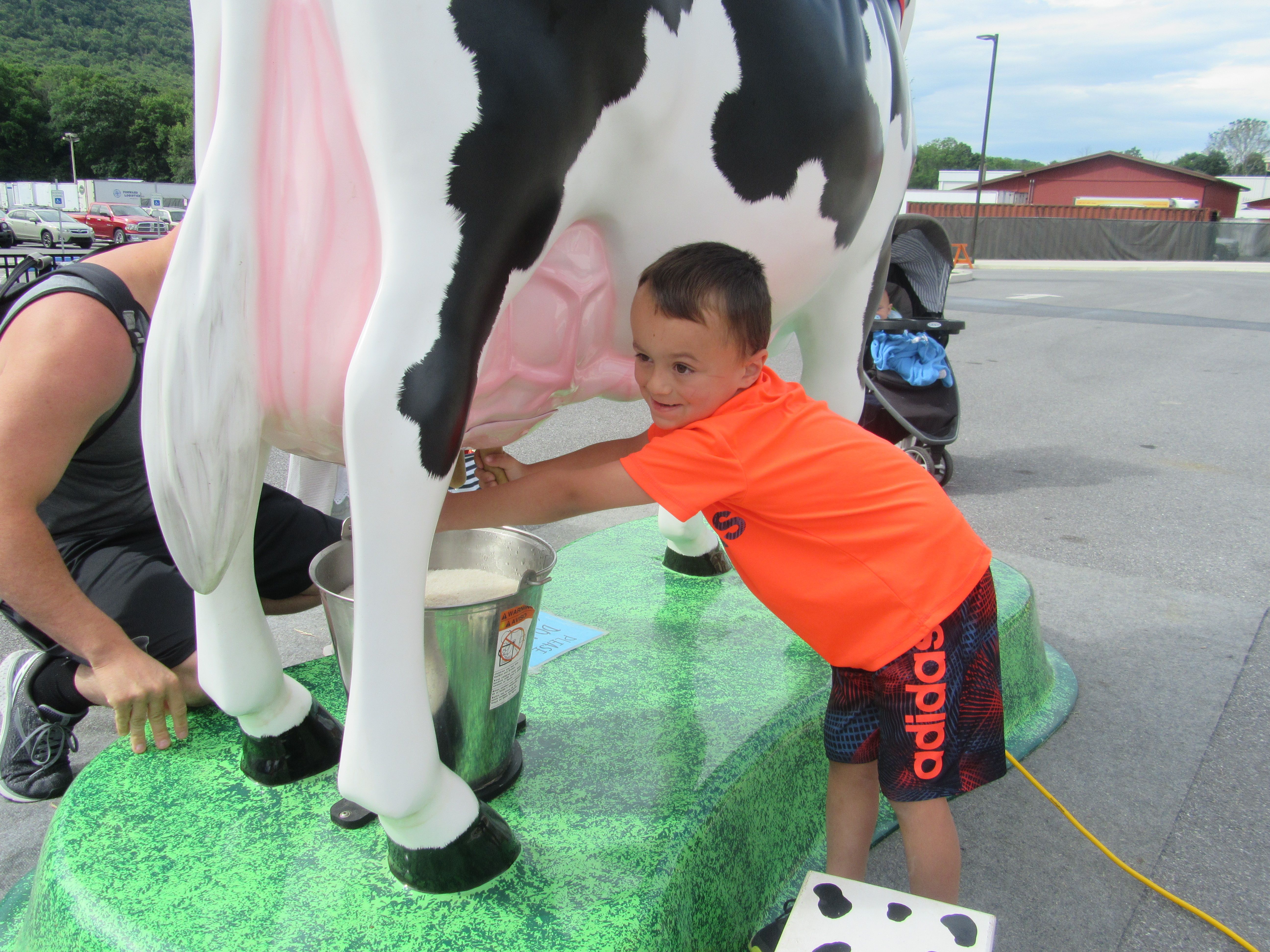 Cow statue in front of DelGrosso's Park entrance