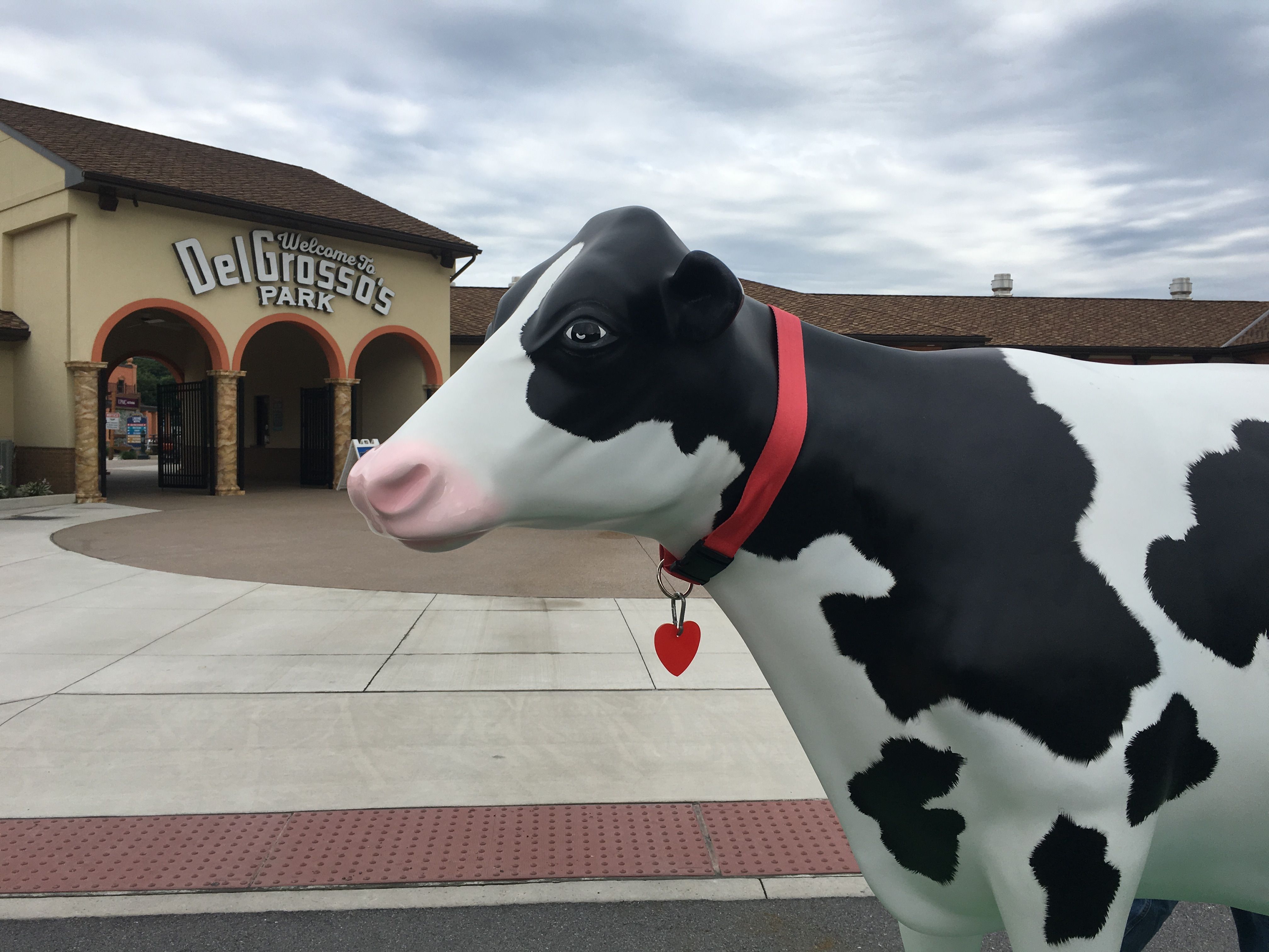 Allied Tent at Dairy Day at DelGrosso's Park