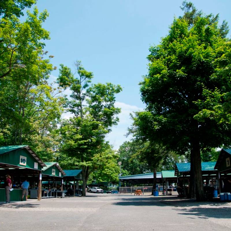 Picnic Pavilions at DelGrosso's Park