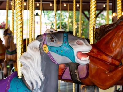 The Carousel Family Ride at DelGrosso's Amusement Park