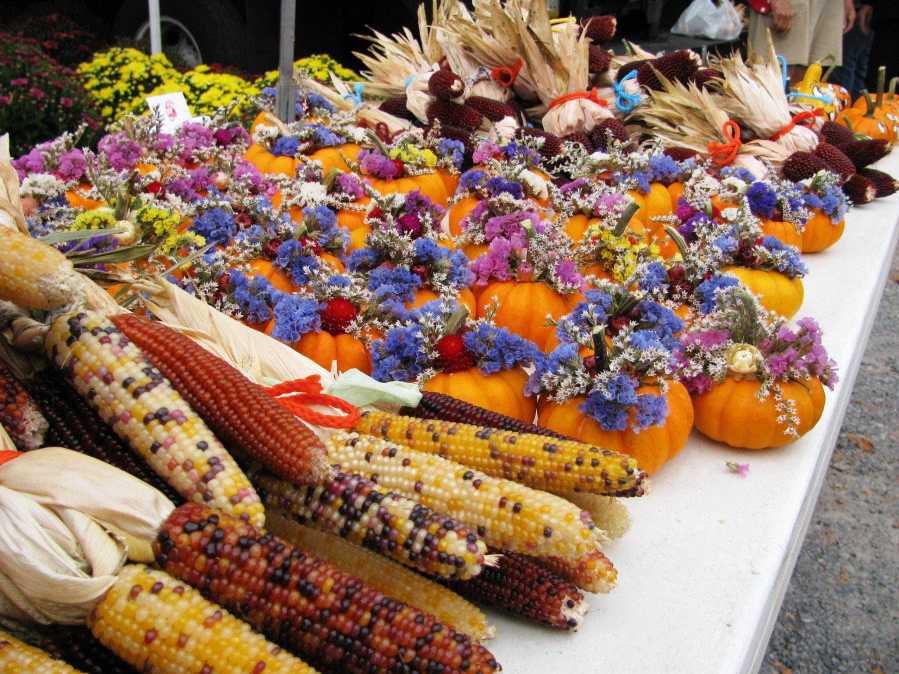 Mini pumpkin and Indian Corn fall decorations.