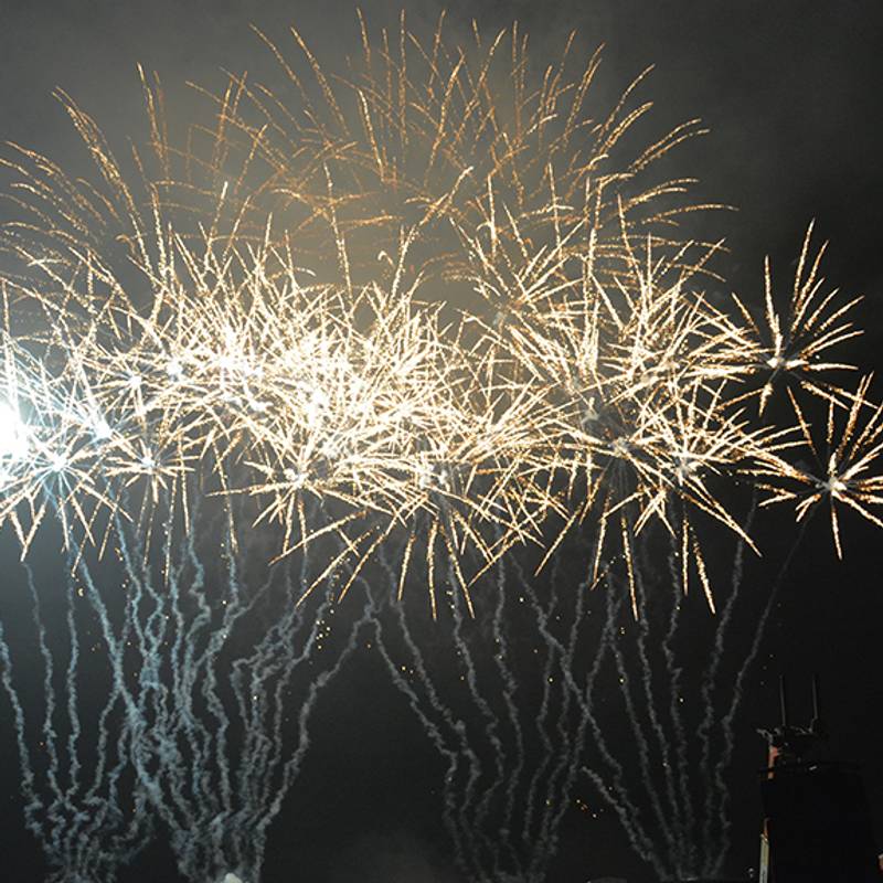 Fireworks in the night sky at DelGrosso's Park