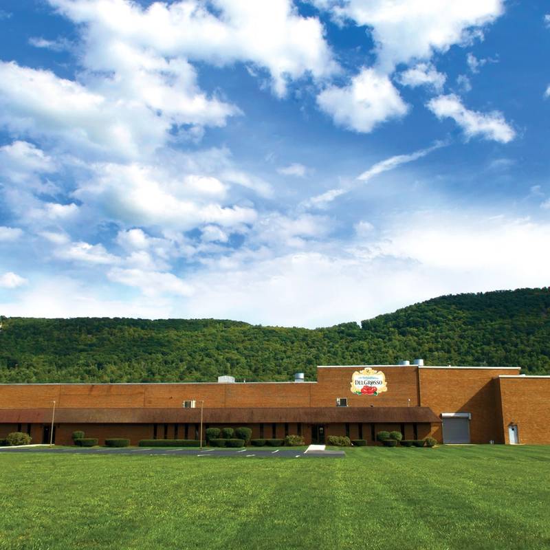 Photo of DelGrosso Sauce Plant