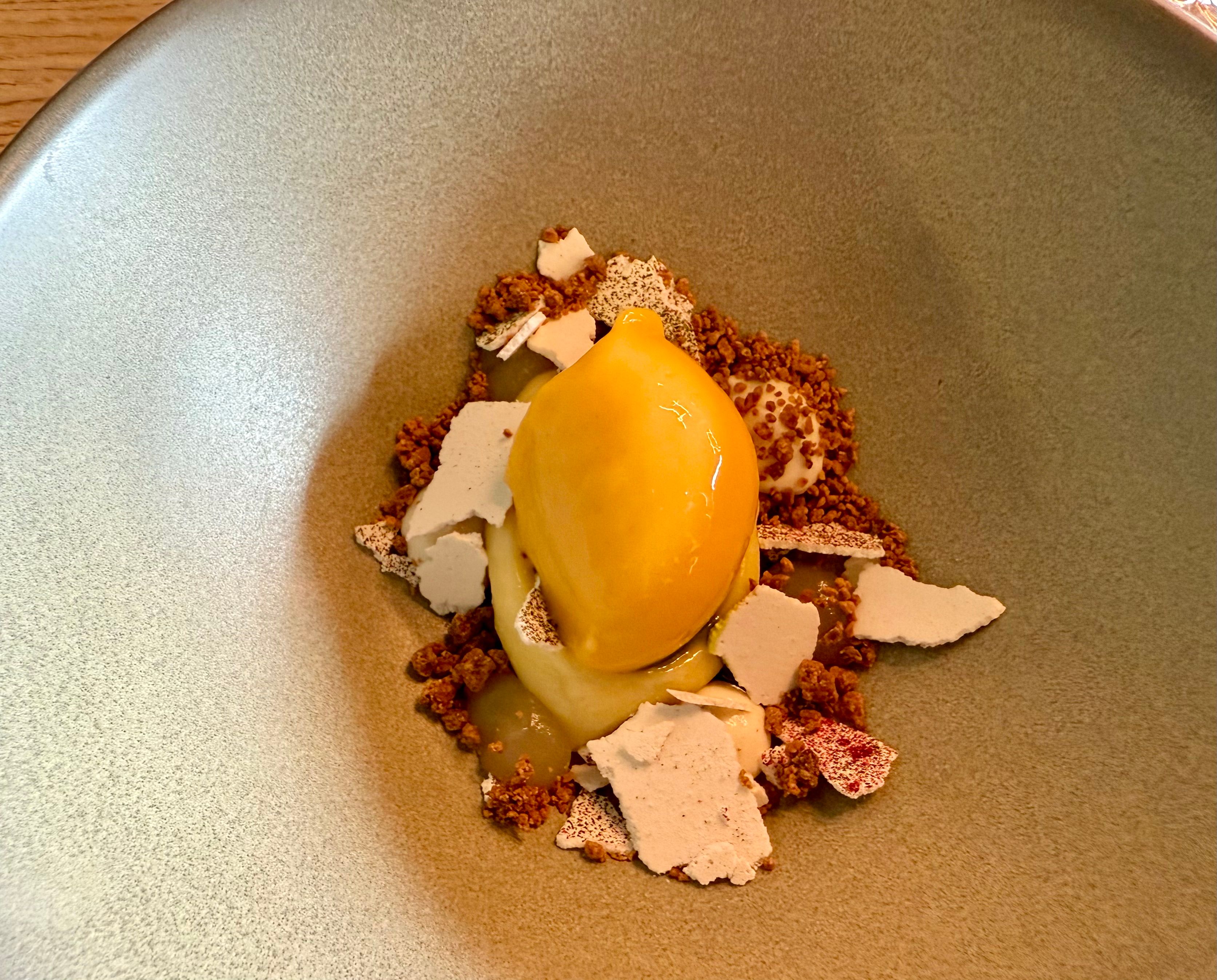 Bark – Bergen — bilde 4