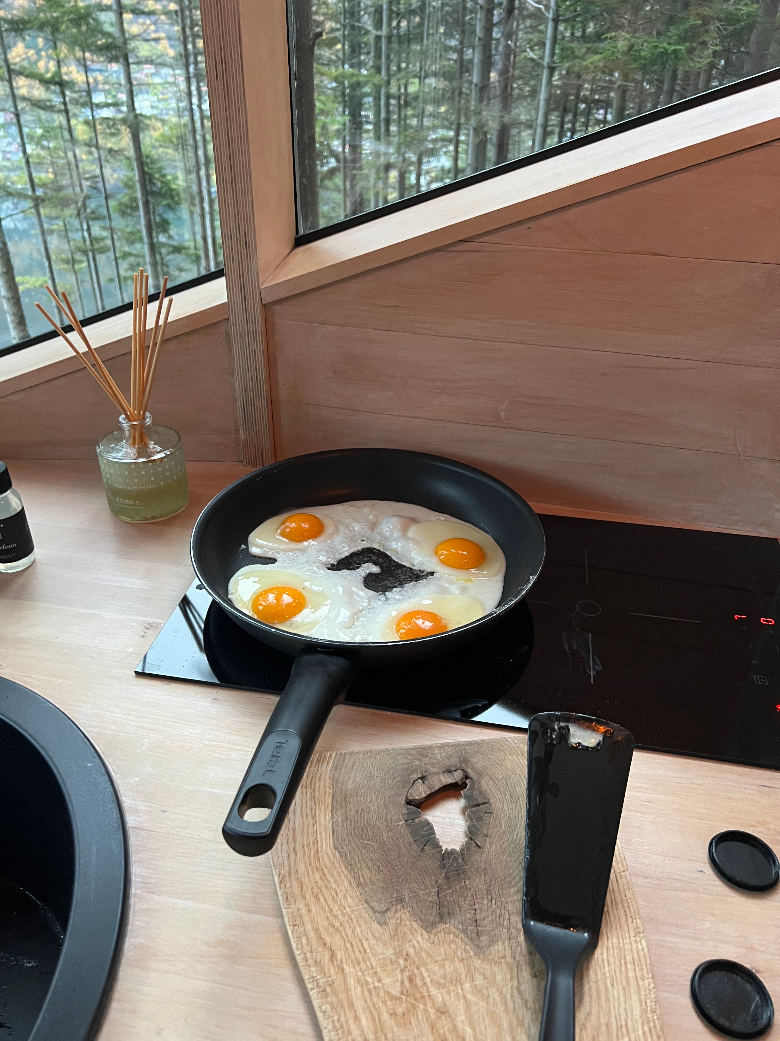 Woodnest – Odda — bilde 5