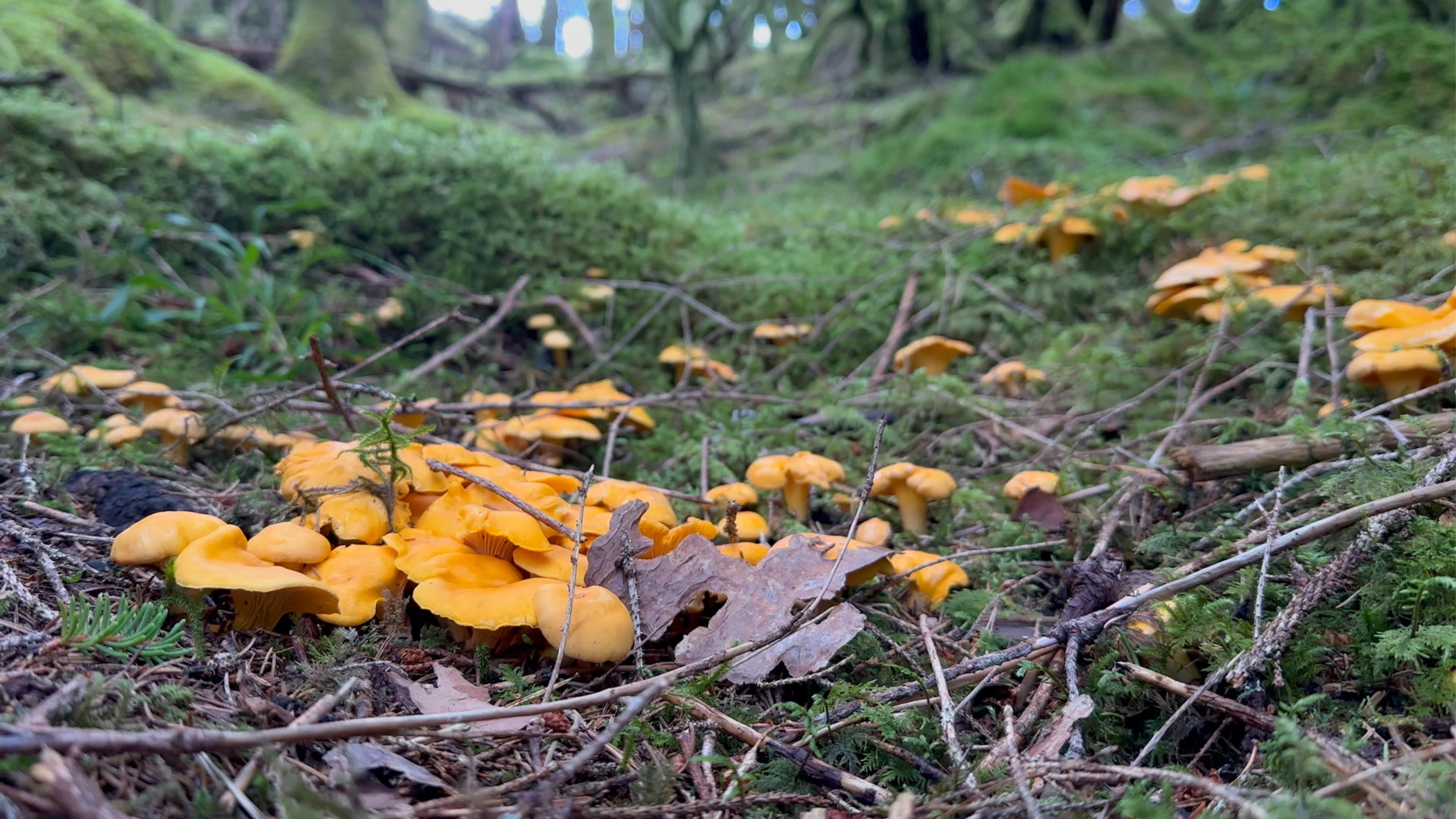 Bilde illustrerer innholdet i artikkelen