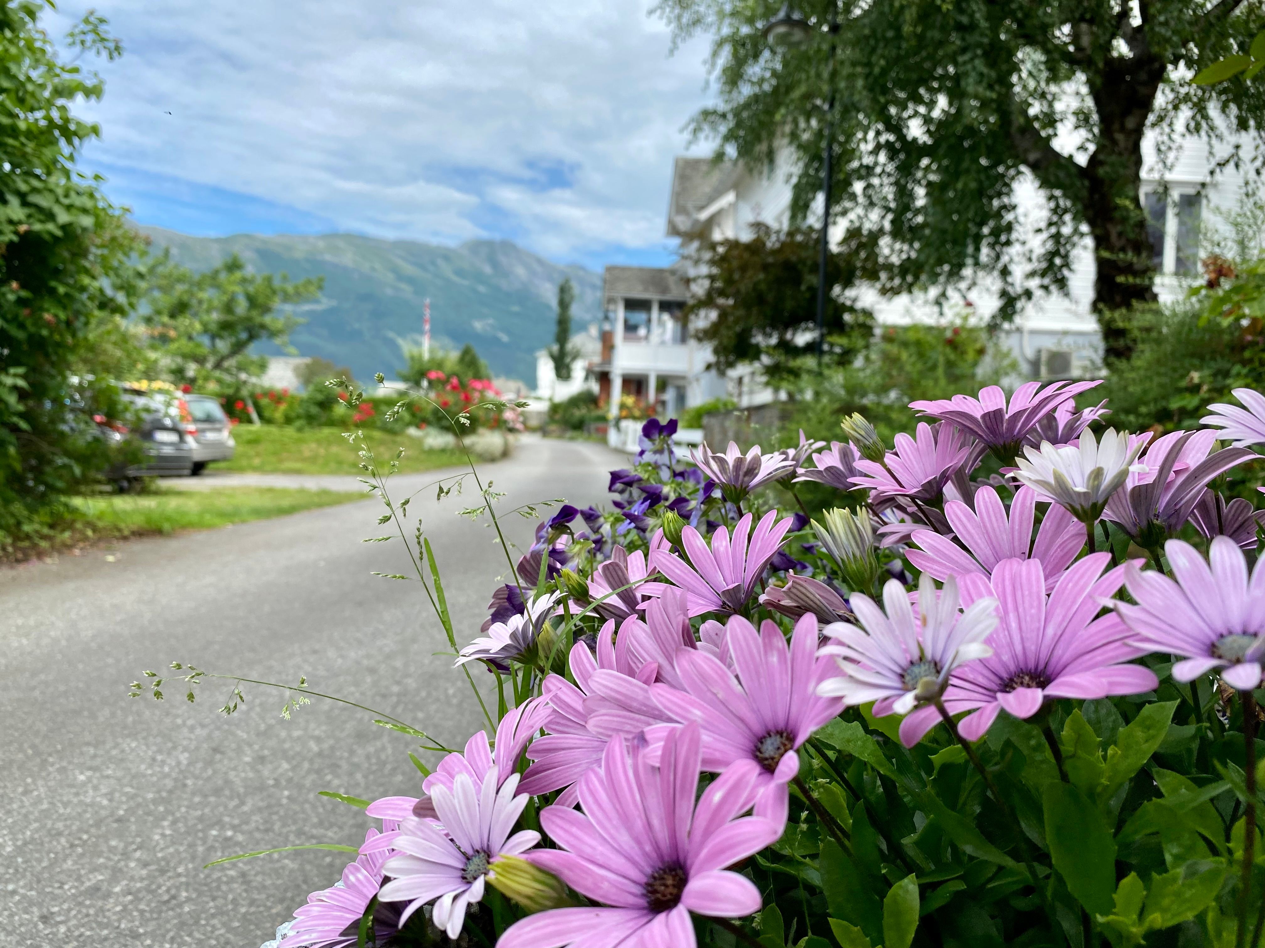 Ullensvang hotel – Ullensvang — bilde 4