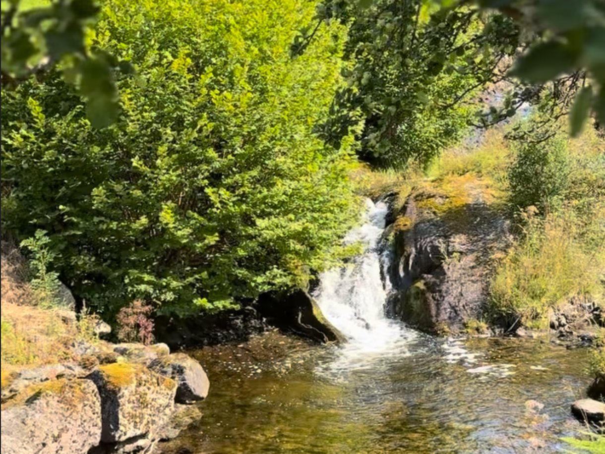 Aarvik gård - Baldersheim — bilde 4