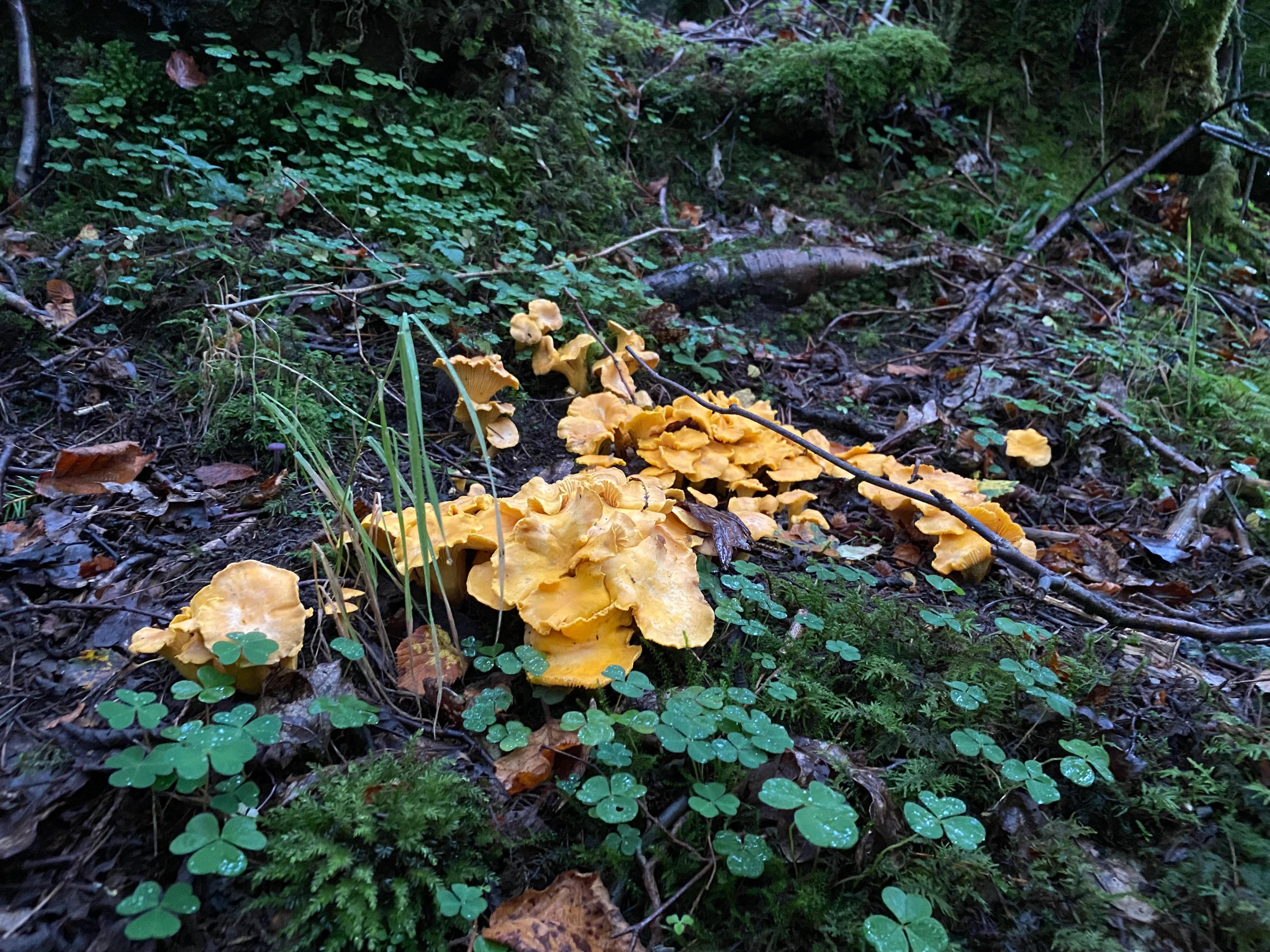 Bilde illustrerer innholdet i artikkelen