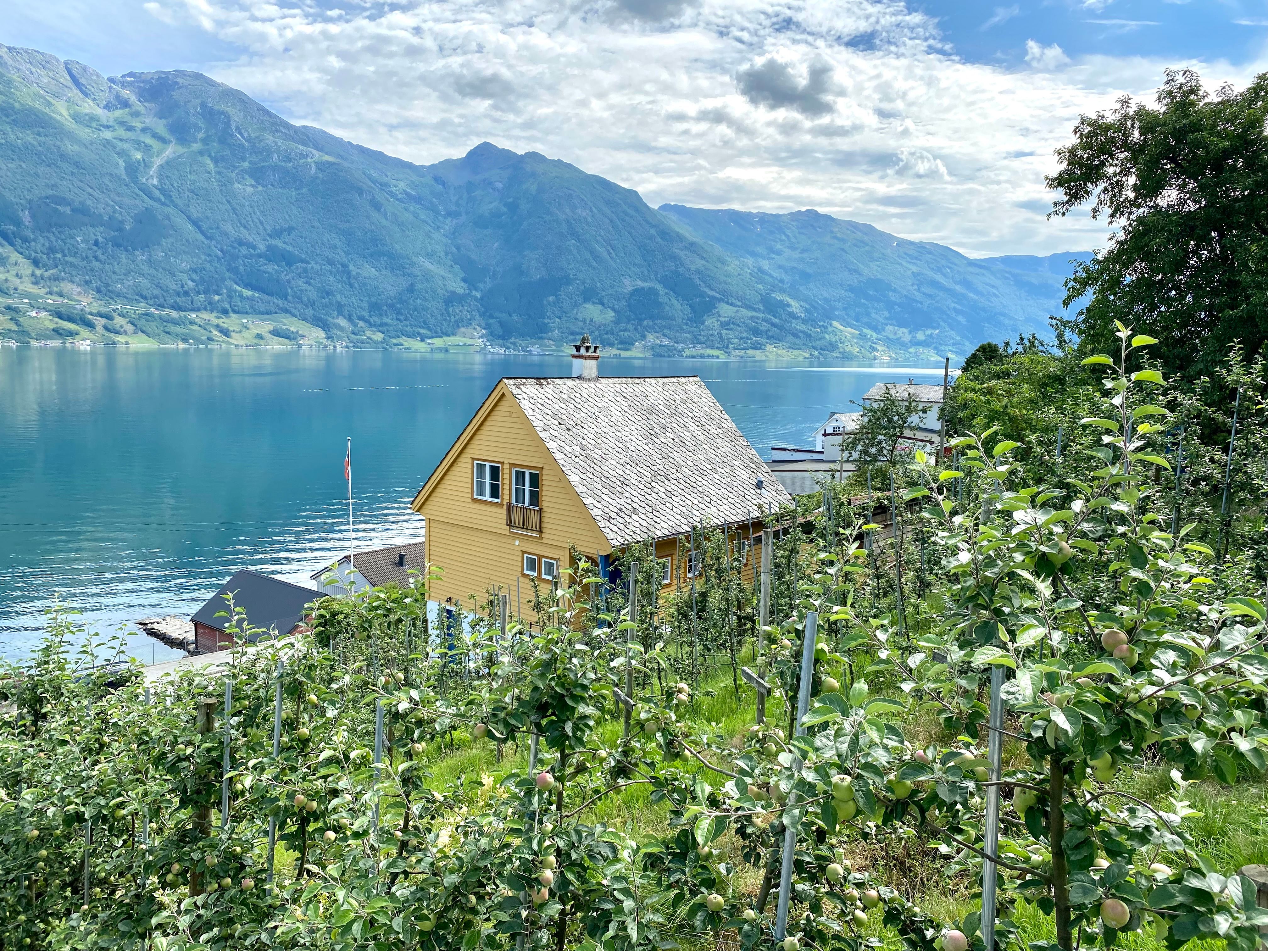 Åkre gård – Sørfjorden i Ullensvang — bilde 2