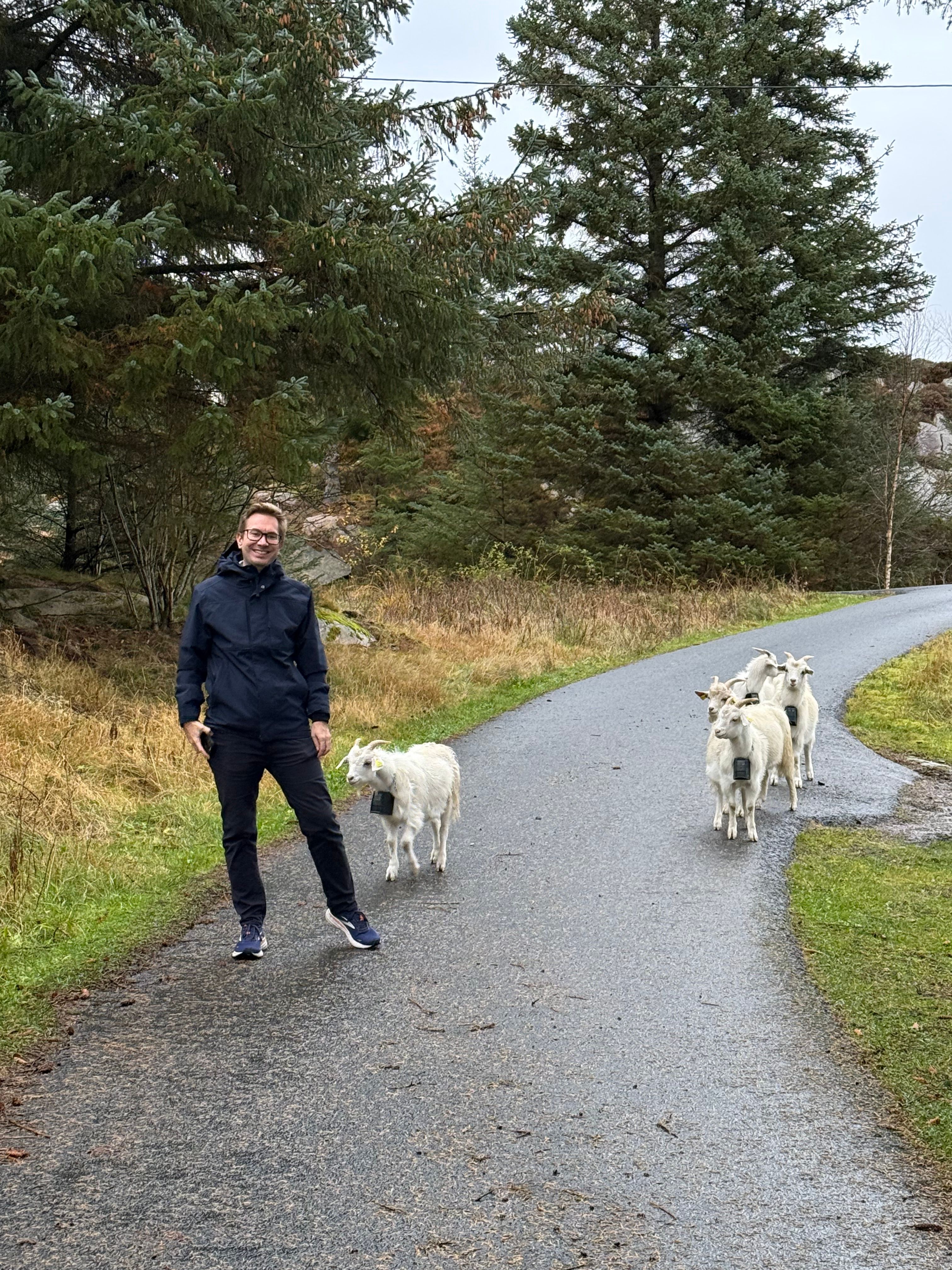 Minihaus-Airbnb am Meer – Bremnes Gård, Byrknesøy — Foto 6