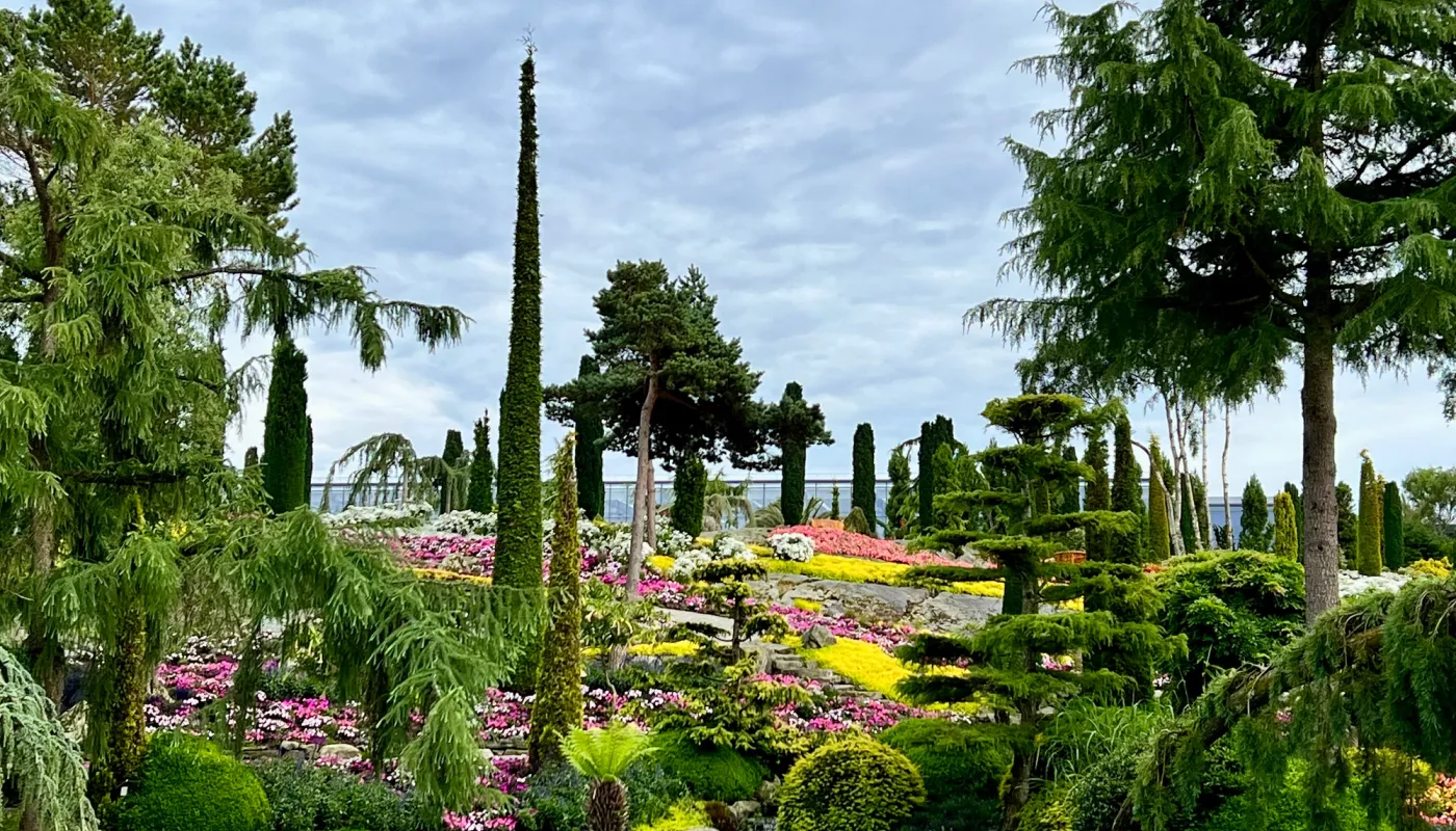 Flor & fjære - Stavanger