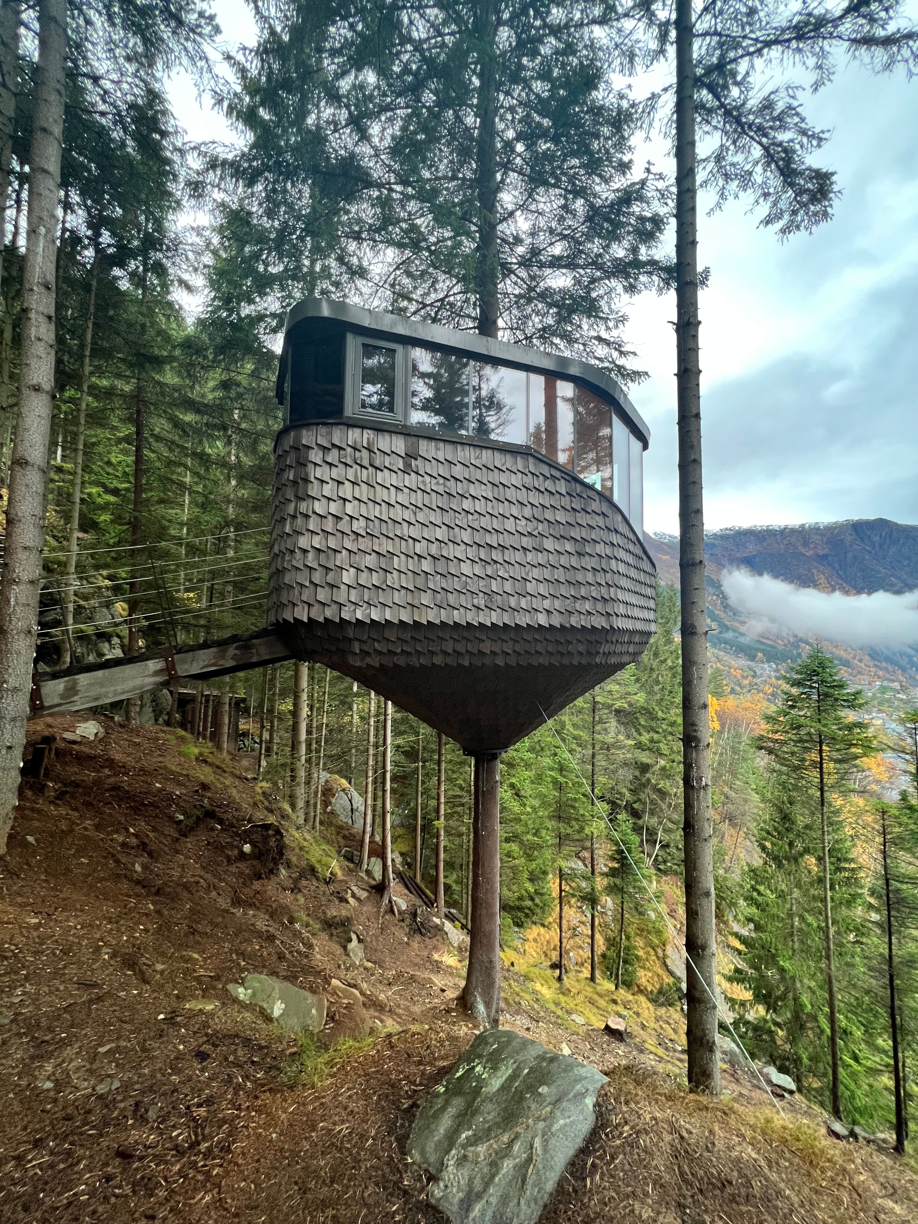 Woodnest – Odda — bilde 7