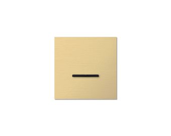 0221-08-23 Chopin - 1-gang - brushed brass - dual levers black
