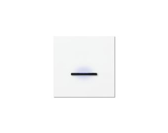 0221-04-33 Chopin - 1-gang - satin white - single lever black with LED