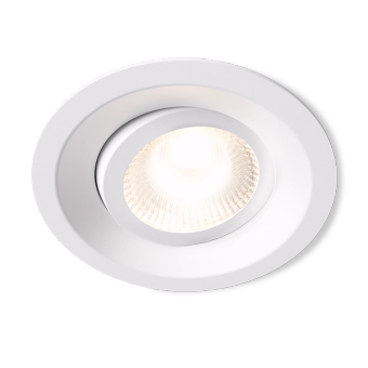 DWN-01-W Downlight Tilt White