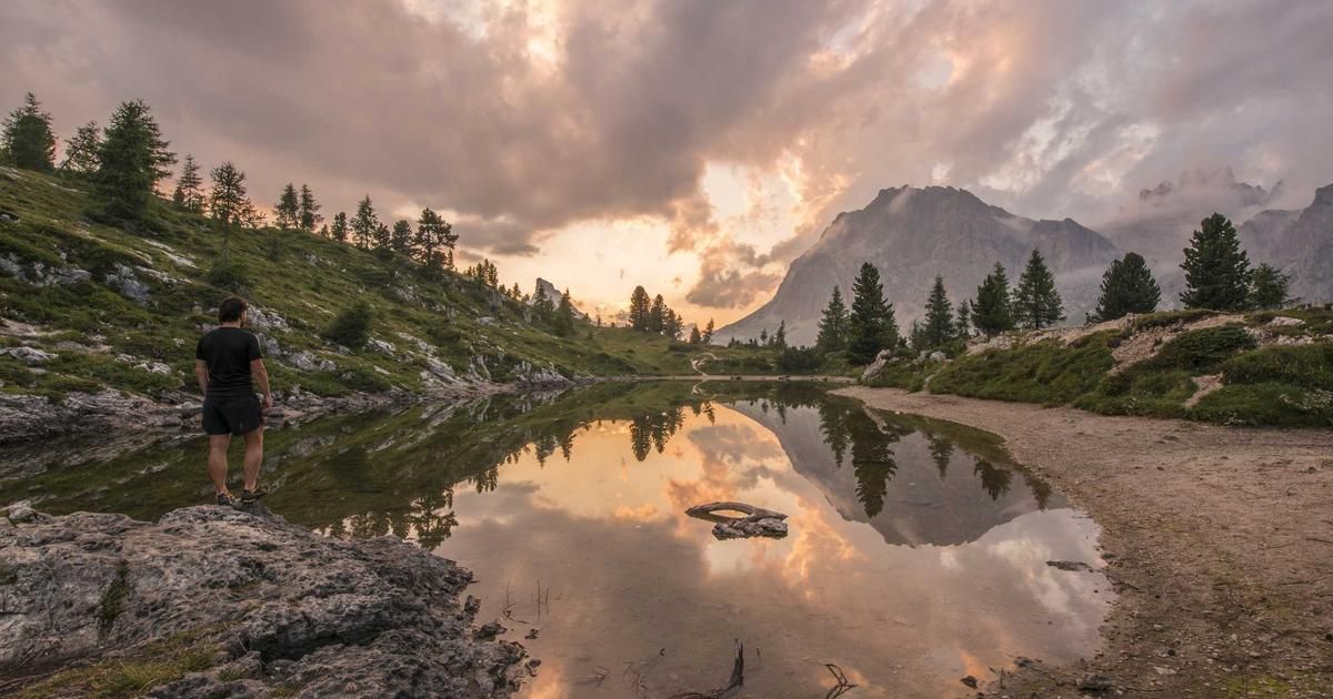 Long-Form Editor Showcase