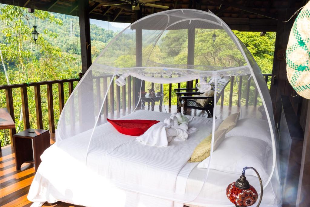Wanakaset Forest Glamping - Hotels in Kitulgala