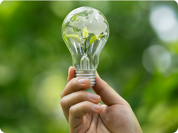 Hand holding a lightbulb with a plant growing inside it