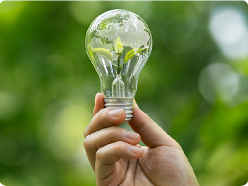 Hand holding a lightbulb with a plant growing inside it