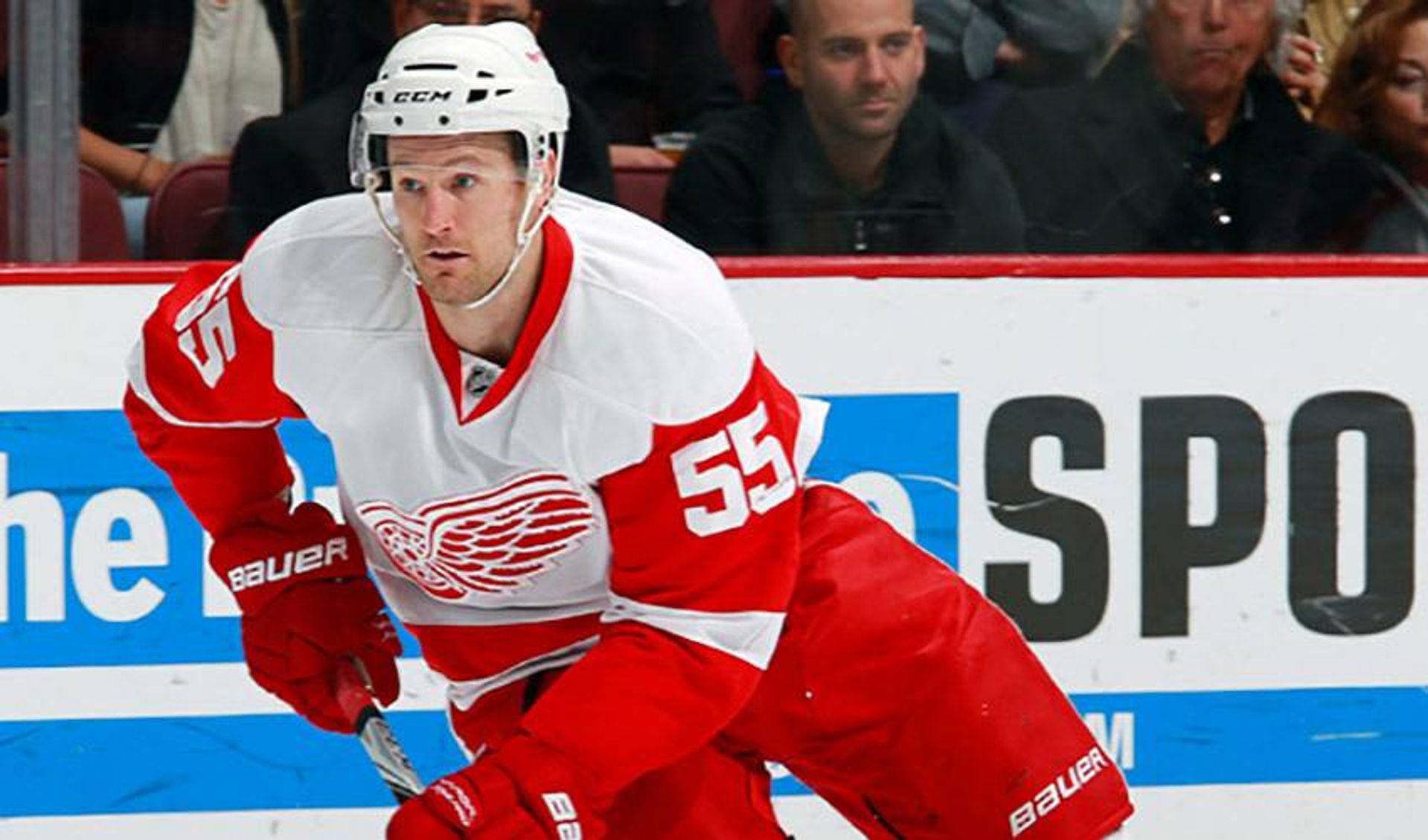 A Perennial Contender