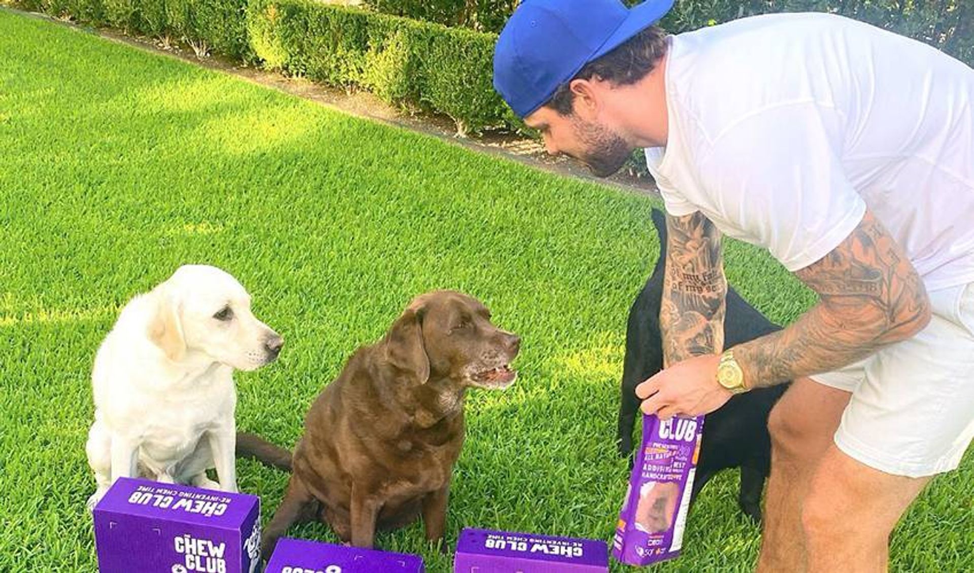 Seguin turns difficult rehab into paws-itive new business venture