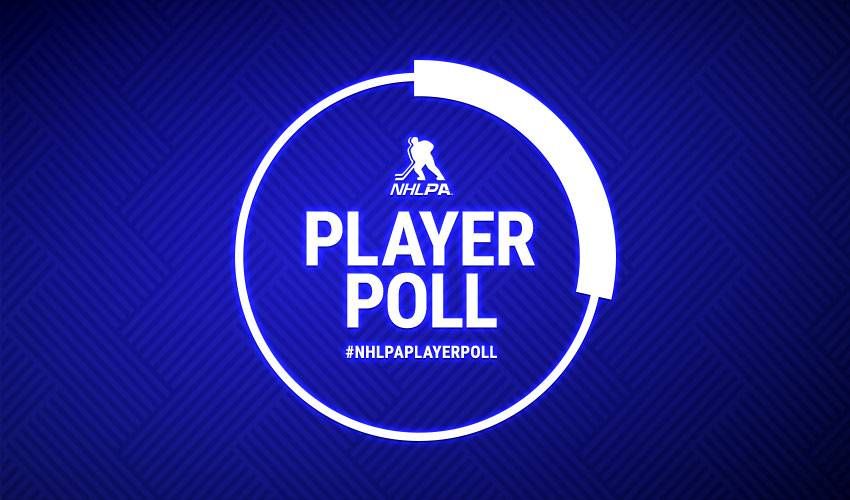 Results revealed for 2018-19 NHLPA Player Poll